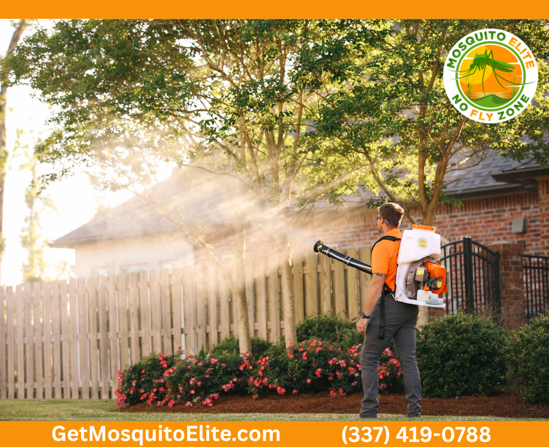 The Ideal Mosquito Treatment Schedule for a Bite-Free Backyard