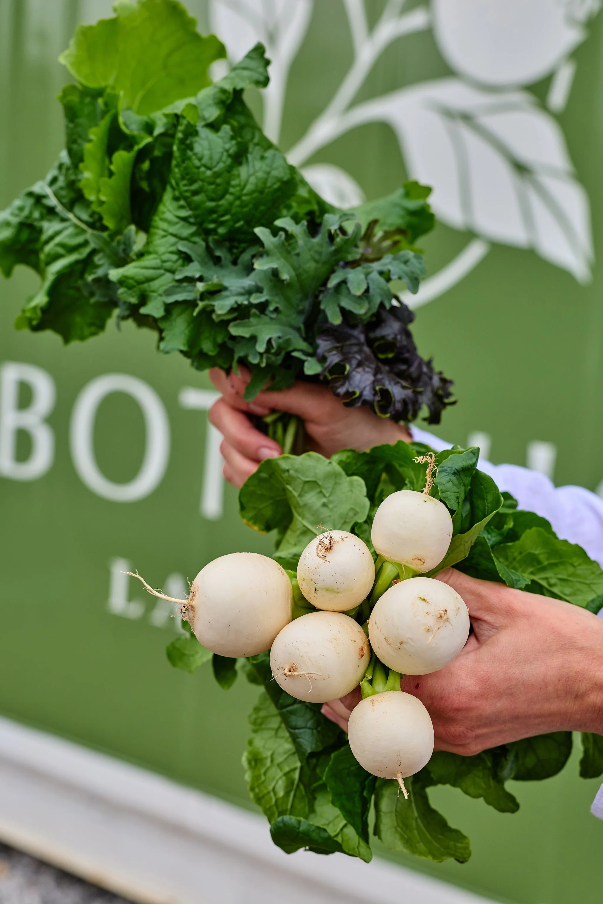 turnips and kale from a vertical farm