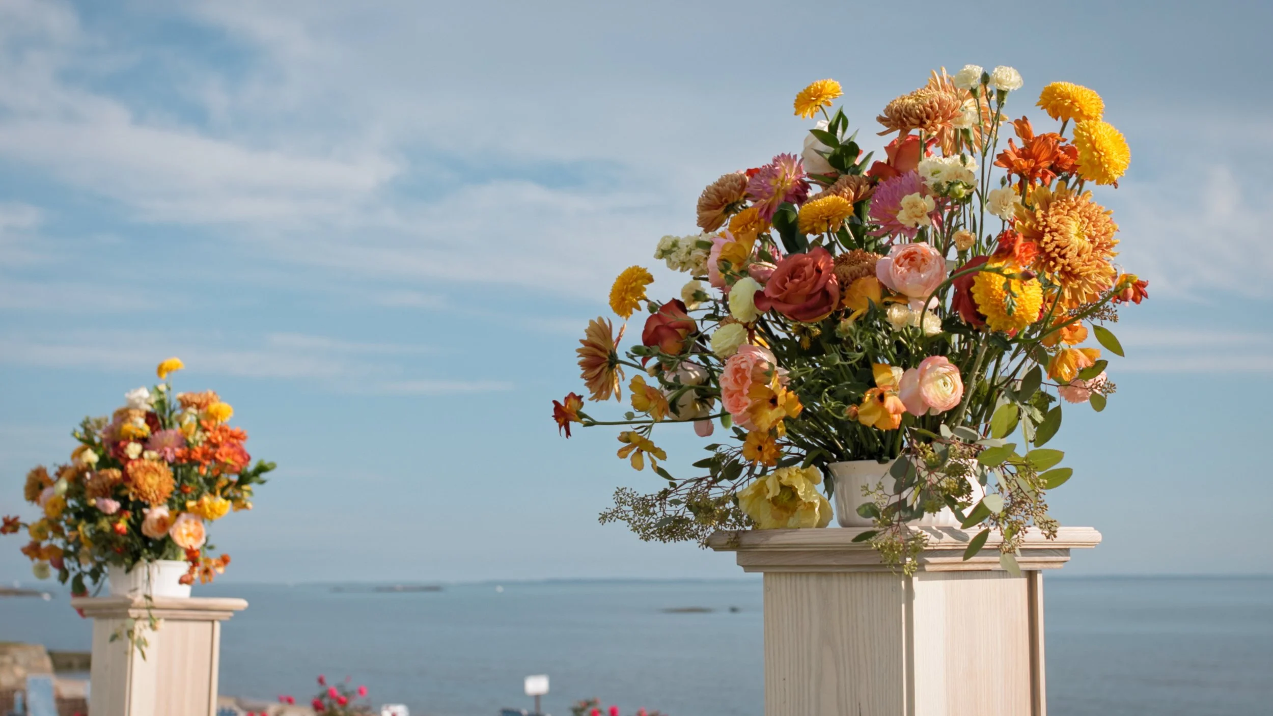 Still 2025-11-20 194637_6.48.1.jpg