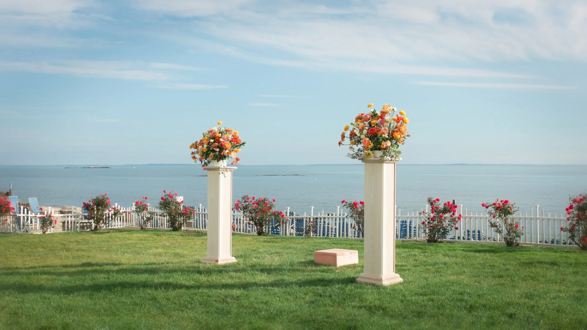 Still 2025-11-20 194637_1.1.1.jpg