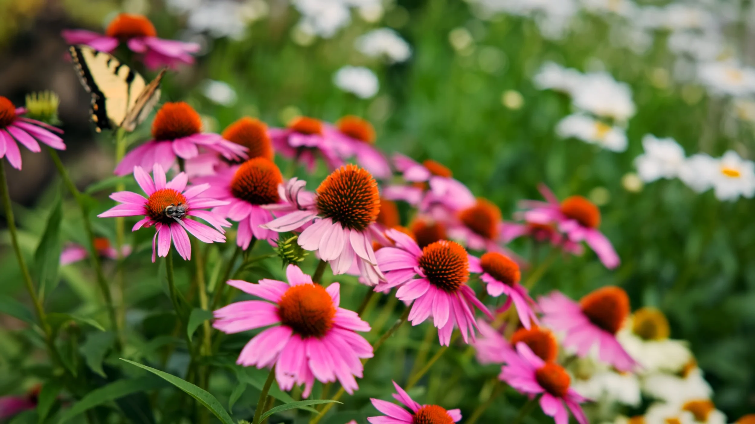 Still 2025-11-20 184436_4.102.1.jpg