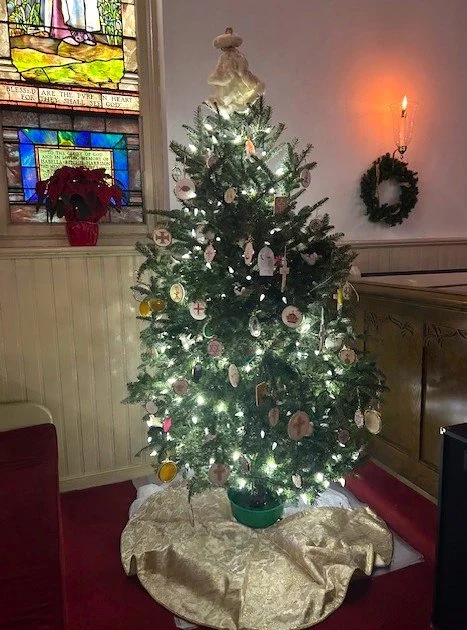 Martin's Brandon Tree.jpg