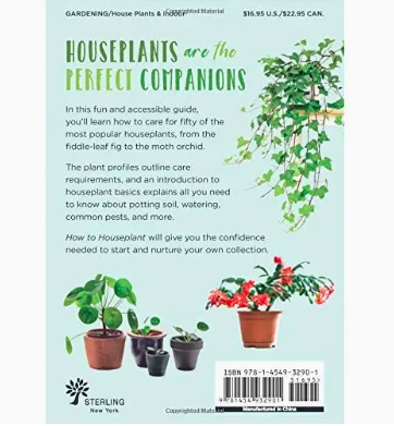 How to House Plant  Dirt Plant Life