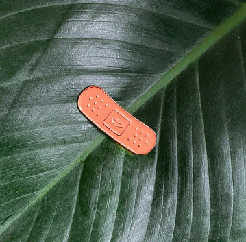 Bandaid Plant Magnet (for eye sores)