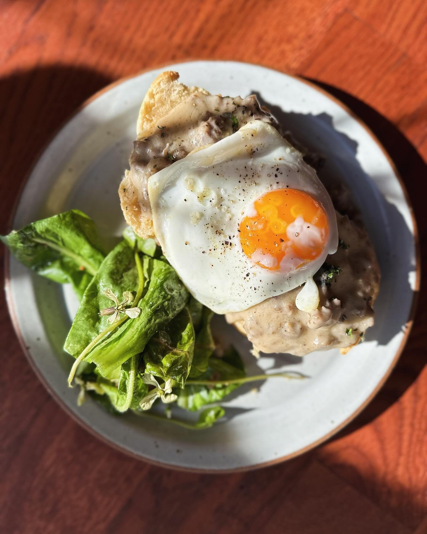Couple of brunch beauties on the menu this weekend from Chef Billy and the crew.
1️⃣@freedomrunfarm Lamb sausage biscuit and gravy with a sunny farm egg and a little bitter chicory salad.
2️⃣@richlifefarm mushies with cheesey polenta, roasted waterme