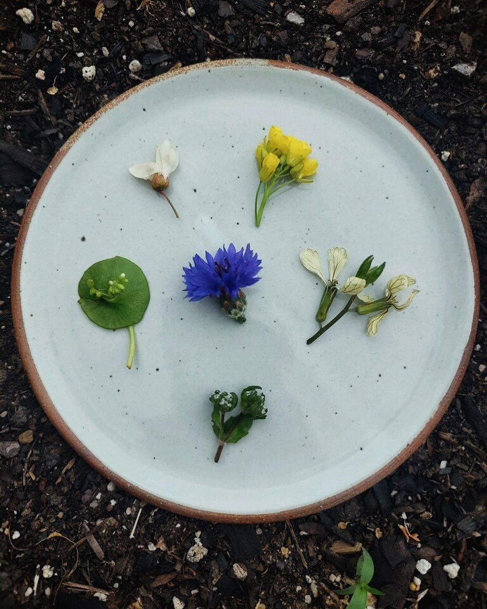 Flowers from farmers and from our kitchen garden to adorn these beautiful @bethanyrosepottery plates. ❤️&zwj;🔥

Back at it this and vibing hard!
Open at 5. Walk in or book on @resy 

Styled by @lowboy_walkin 

#bakerstablenewport #bakerstable #feedp