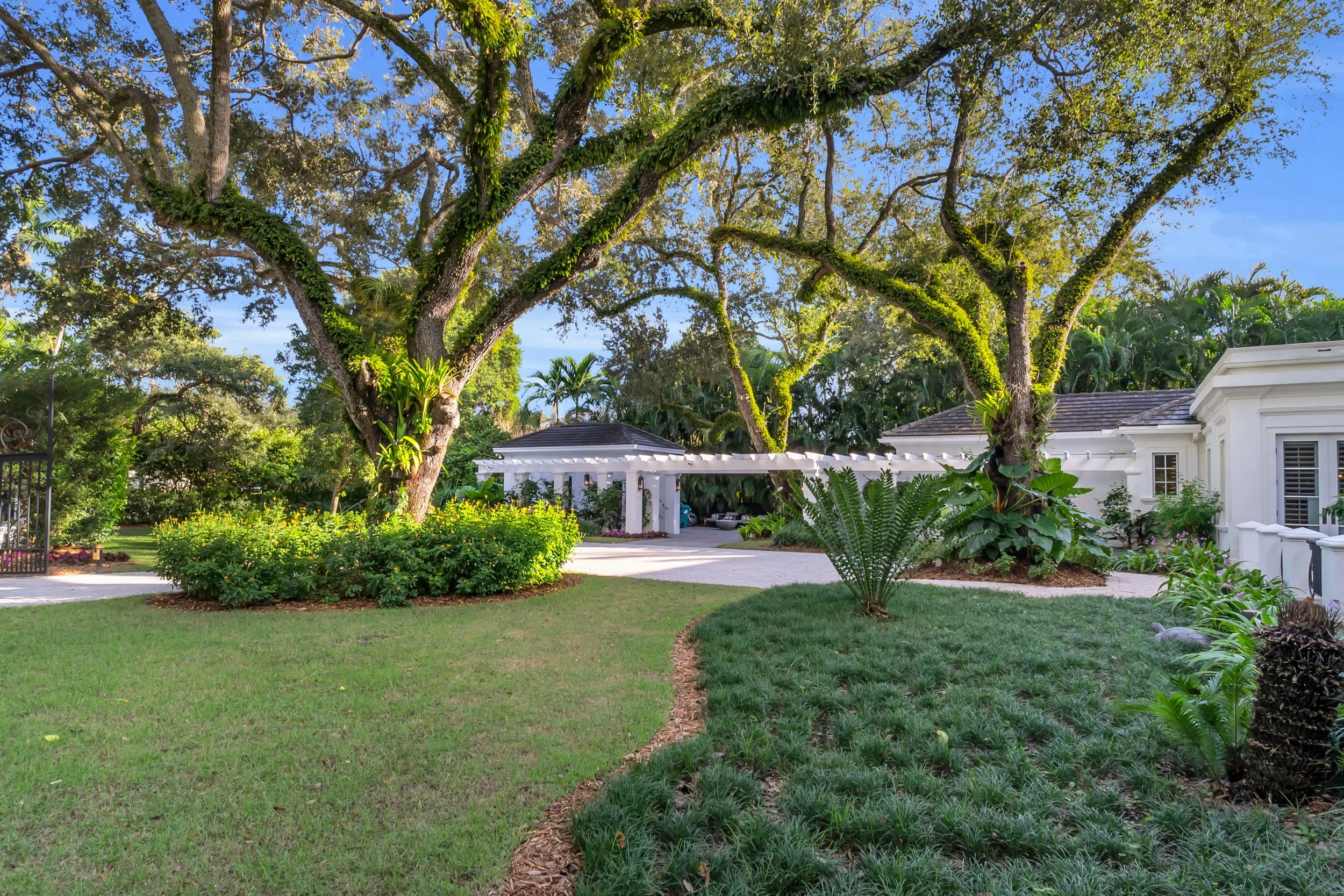 (53) 18_dsc06498.jpg