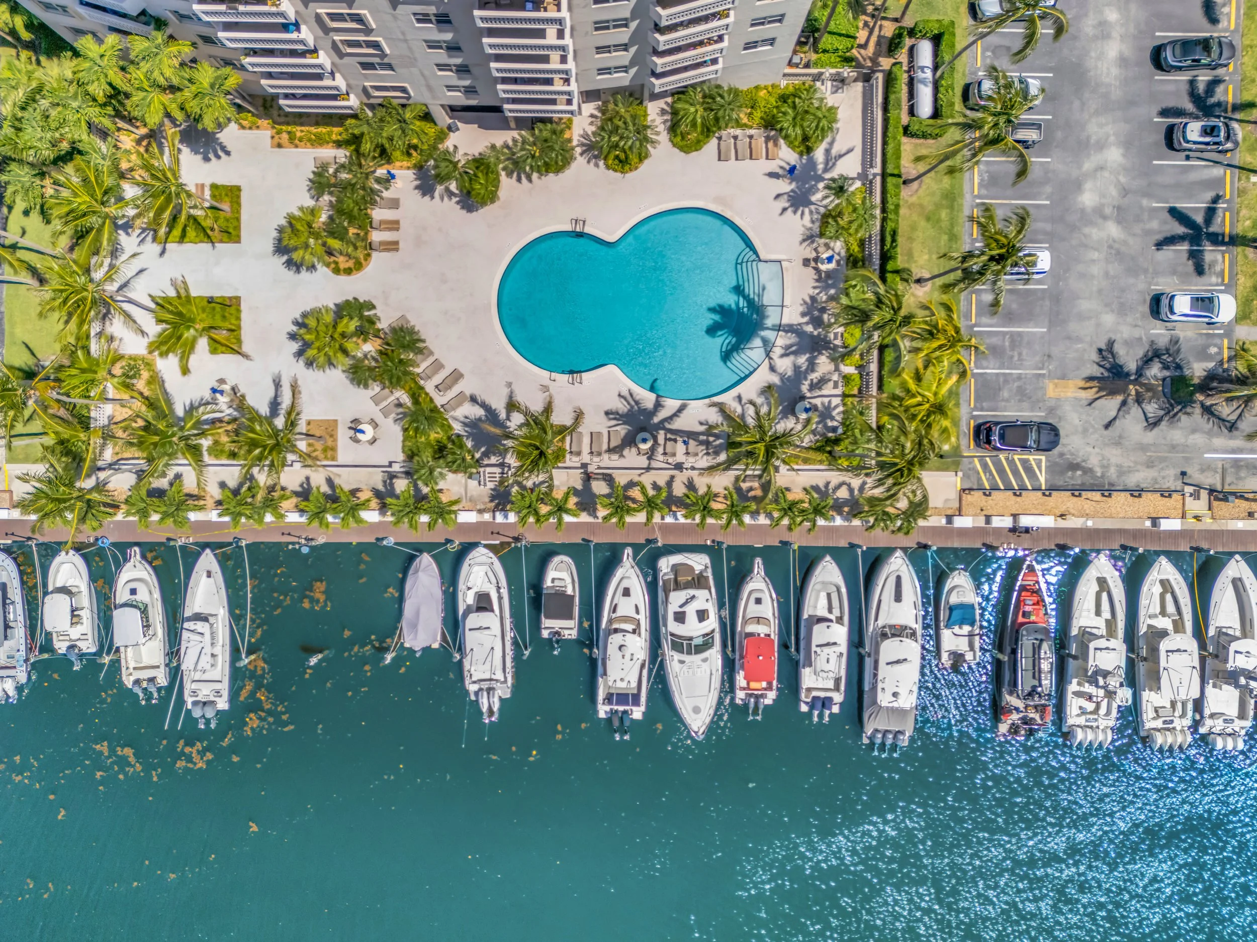(29) 8_dji_20260508113332_0133_d.jpg