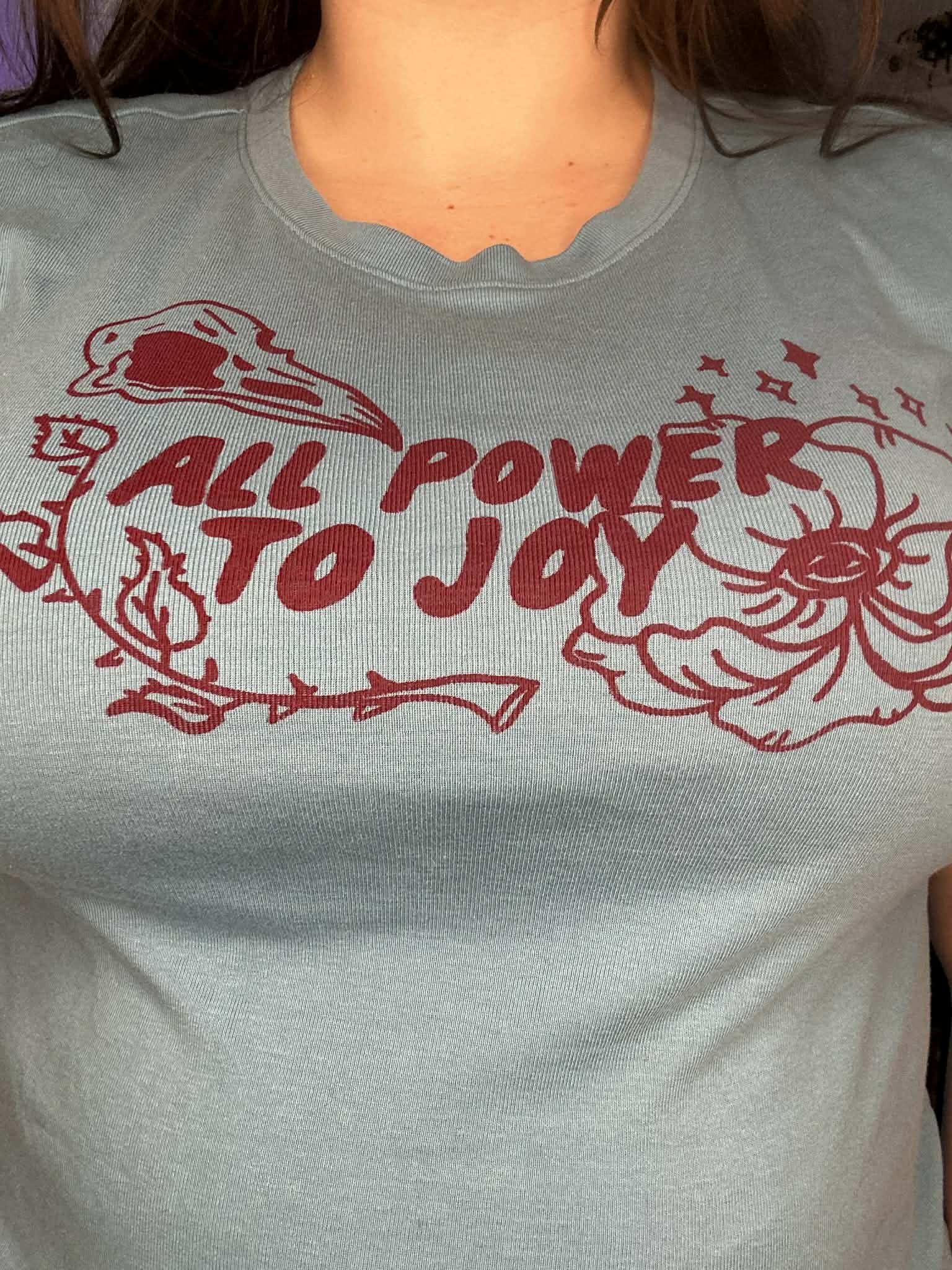 Blue Thrifted Double Print- All Power to Joy/Venus of Willandorf