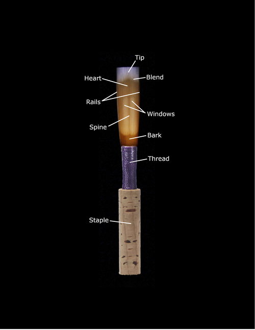 Double Reed Anatomy — Jones Double Reed