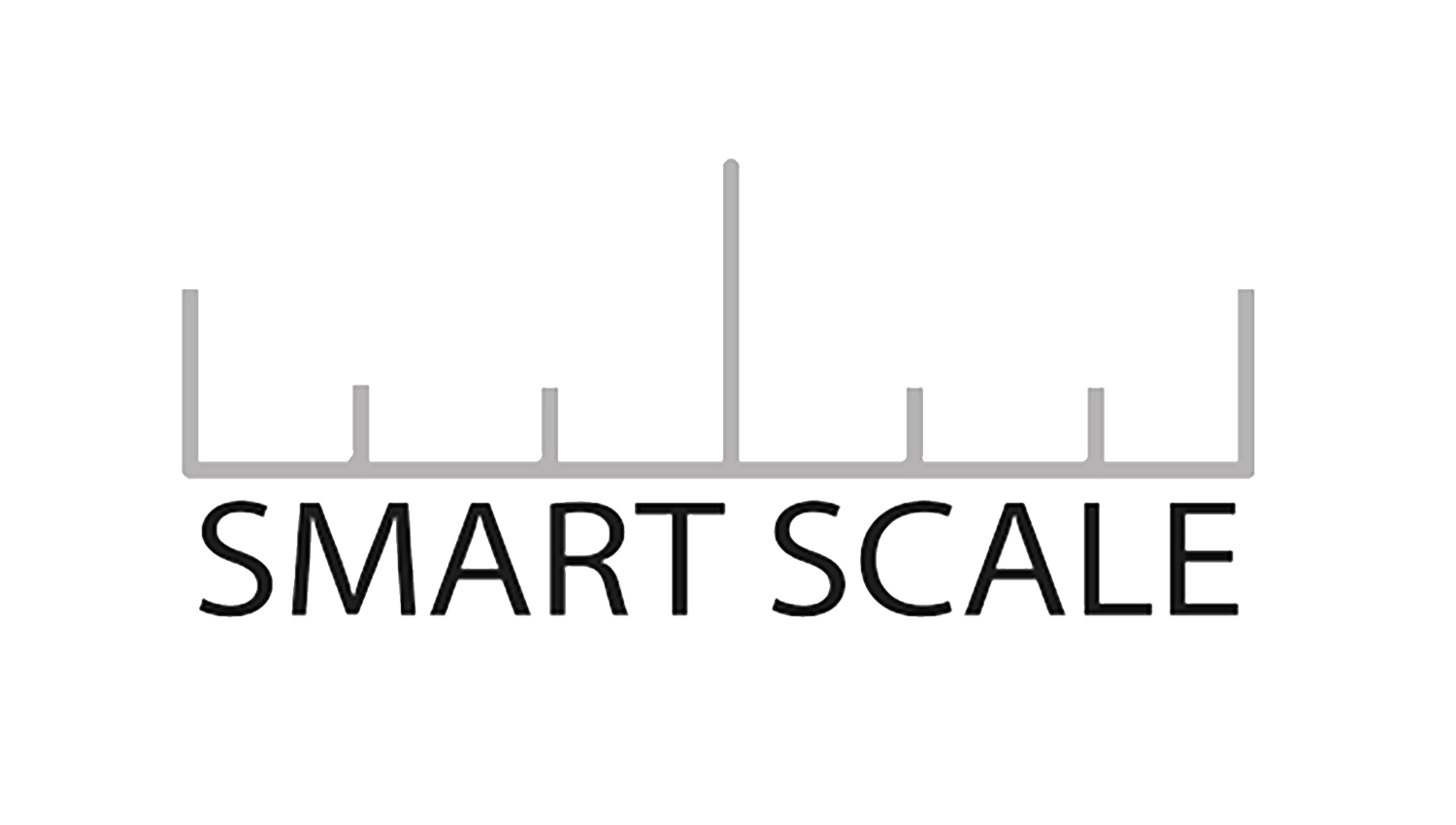 Smart Scale Ruler