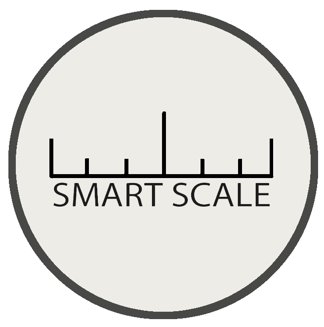 The creator of the Smart Scale Ruler is Joanne Swisterski, an interior ...
