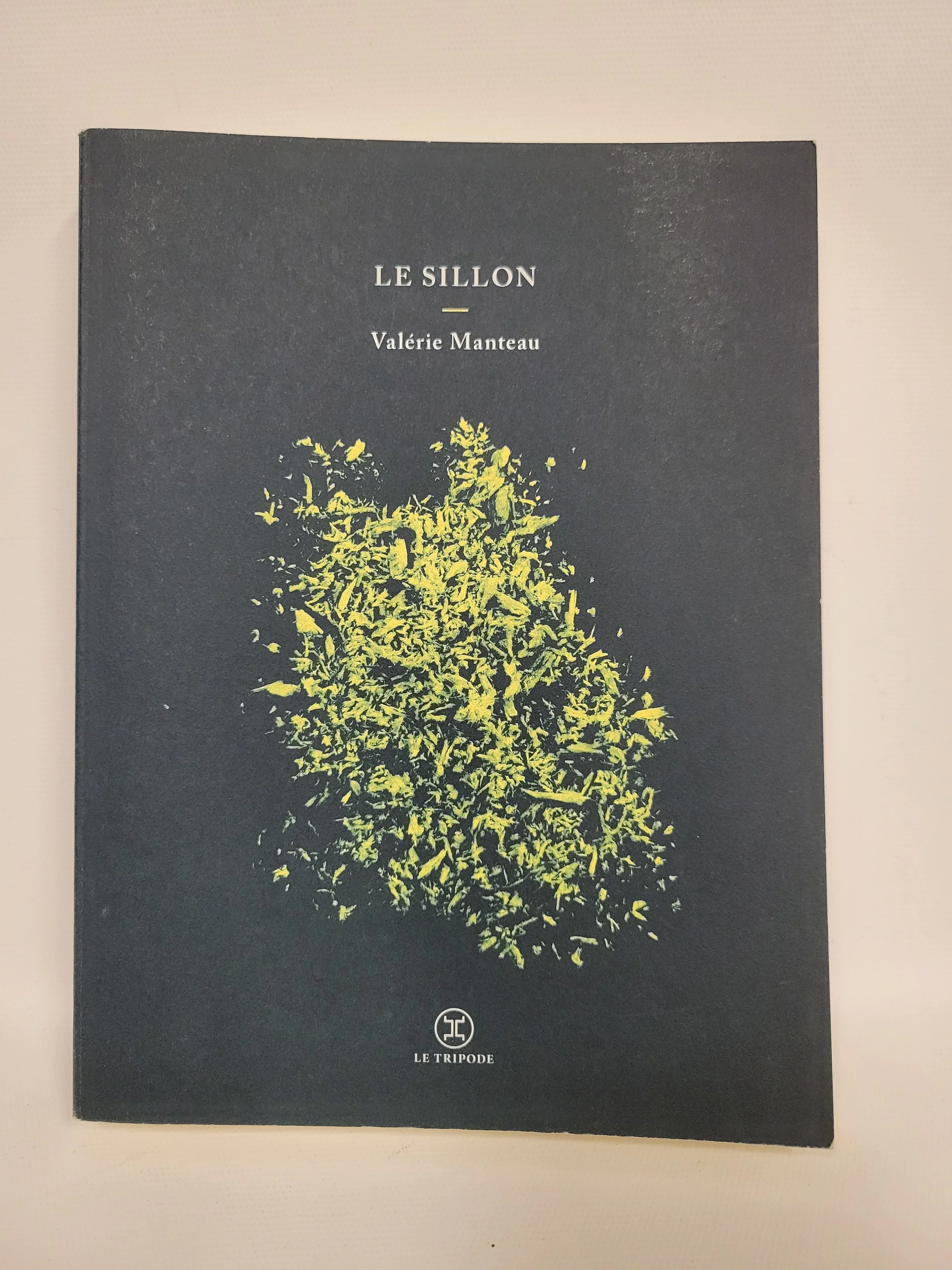 Le sillon - Valérie Manteau