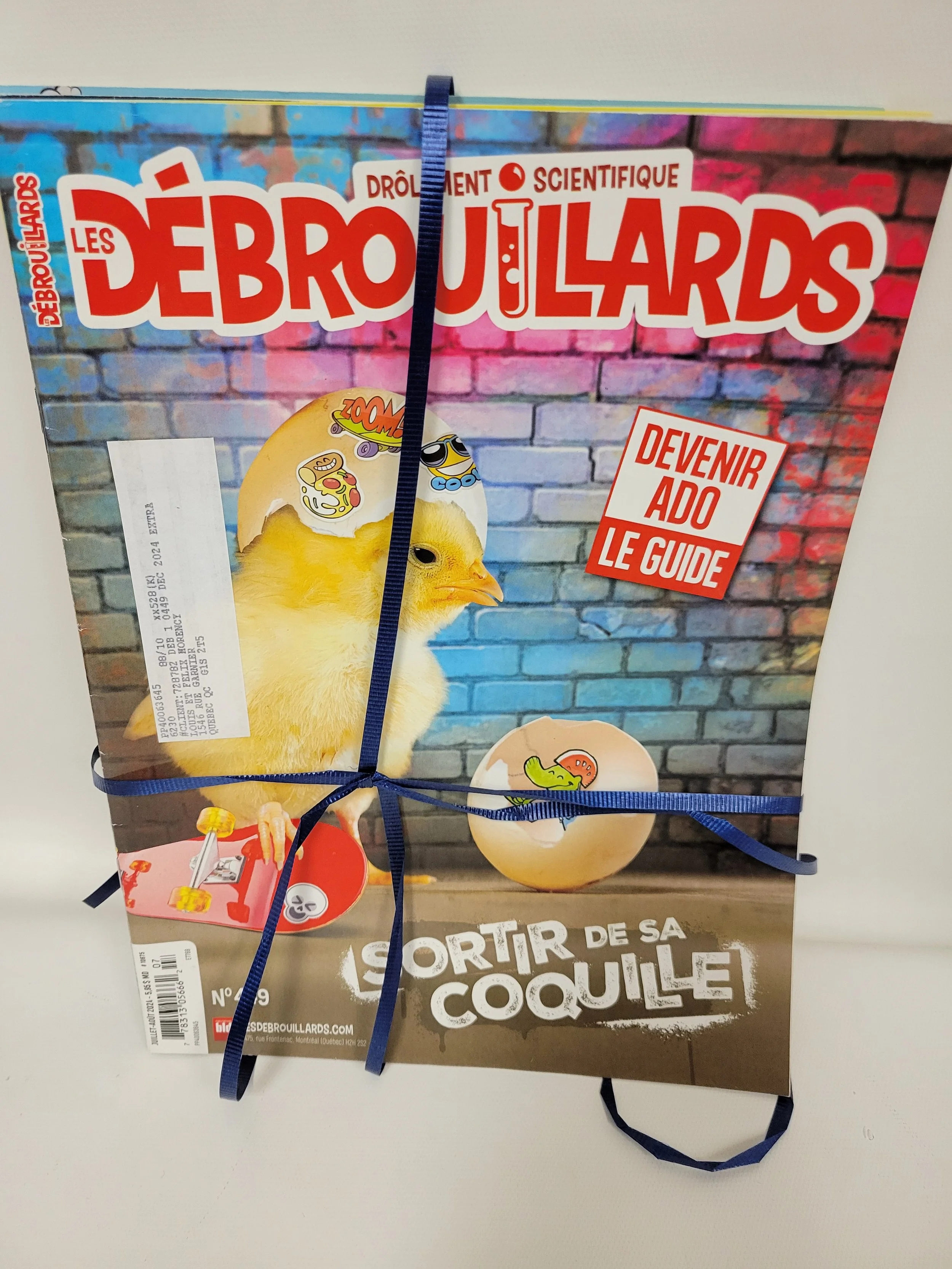 10 revues Les Débrouillards