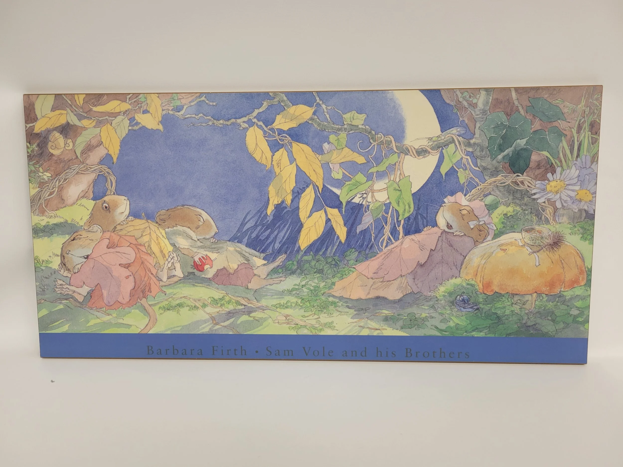 laminé taille moyenne - souris qui dorment