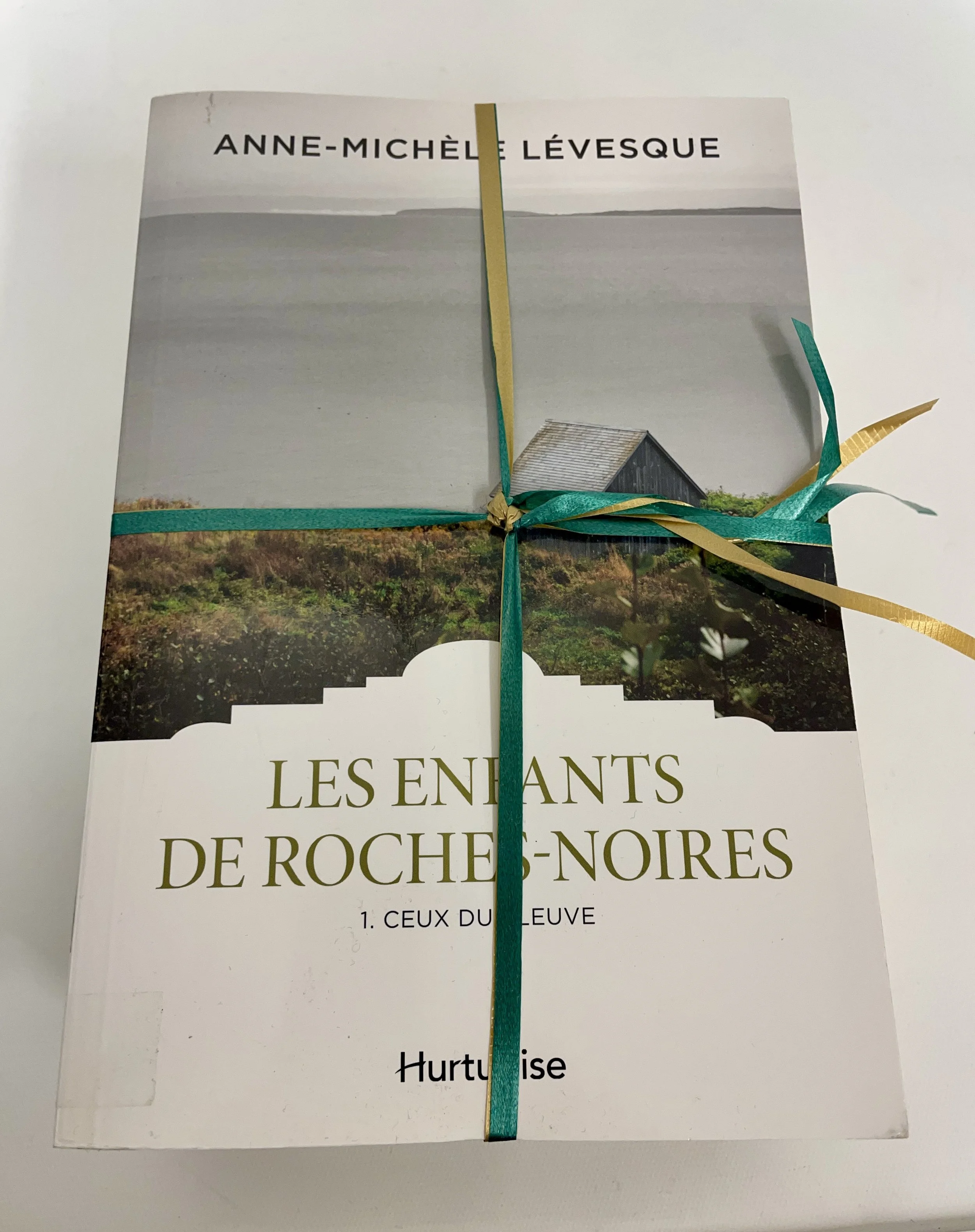 3 livres d'Anne-Michèle Lévesque, «Les enfants de Roches-Noires», vol. 1, 2, 3.