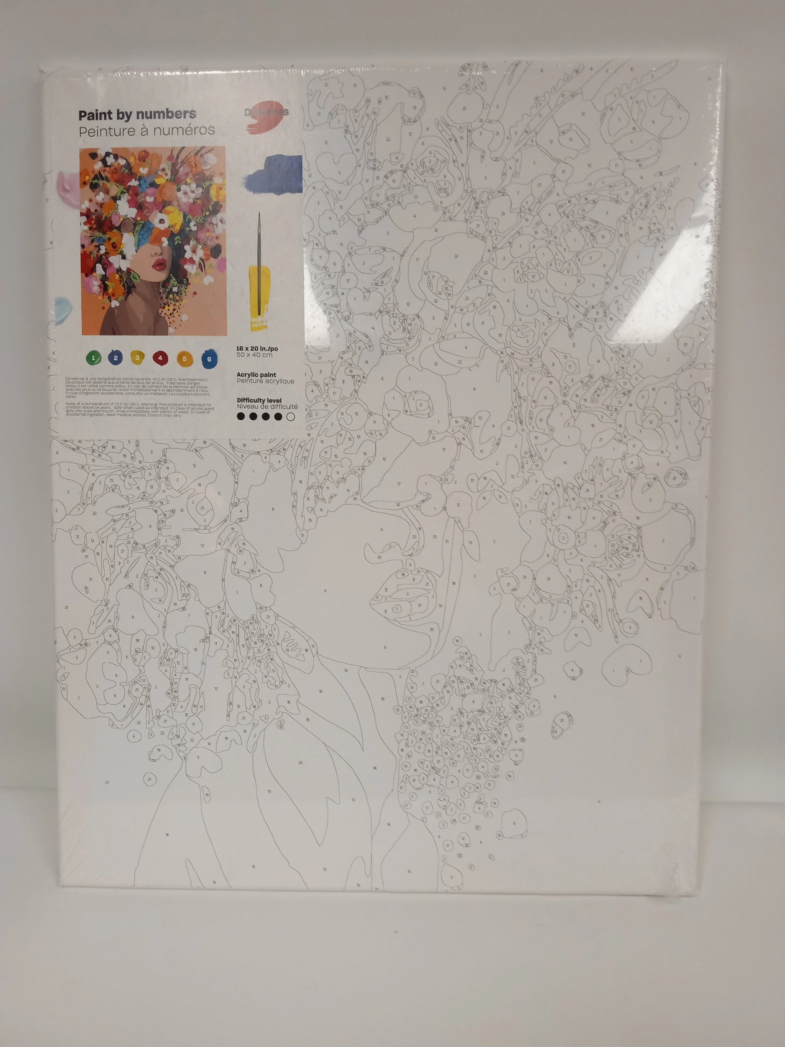 Loisir - Peinture à numéro, Toile (16 x 20 po), peinture acrylique et petits pinceaux inclus - DESSERRES