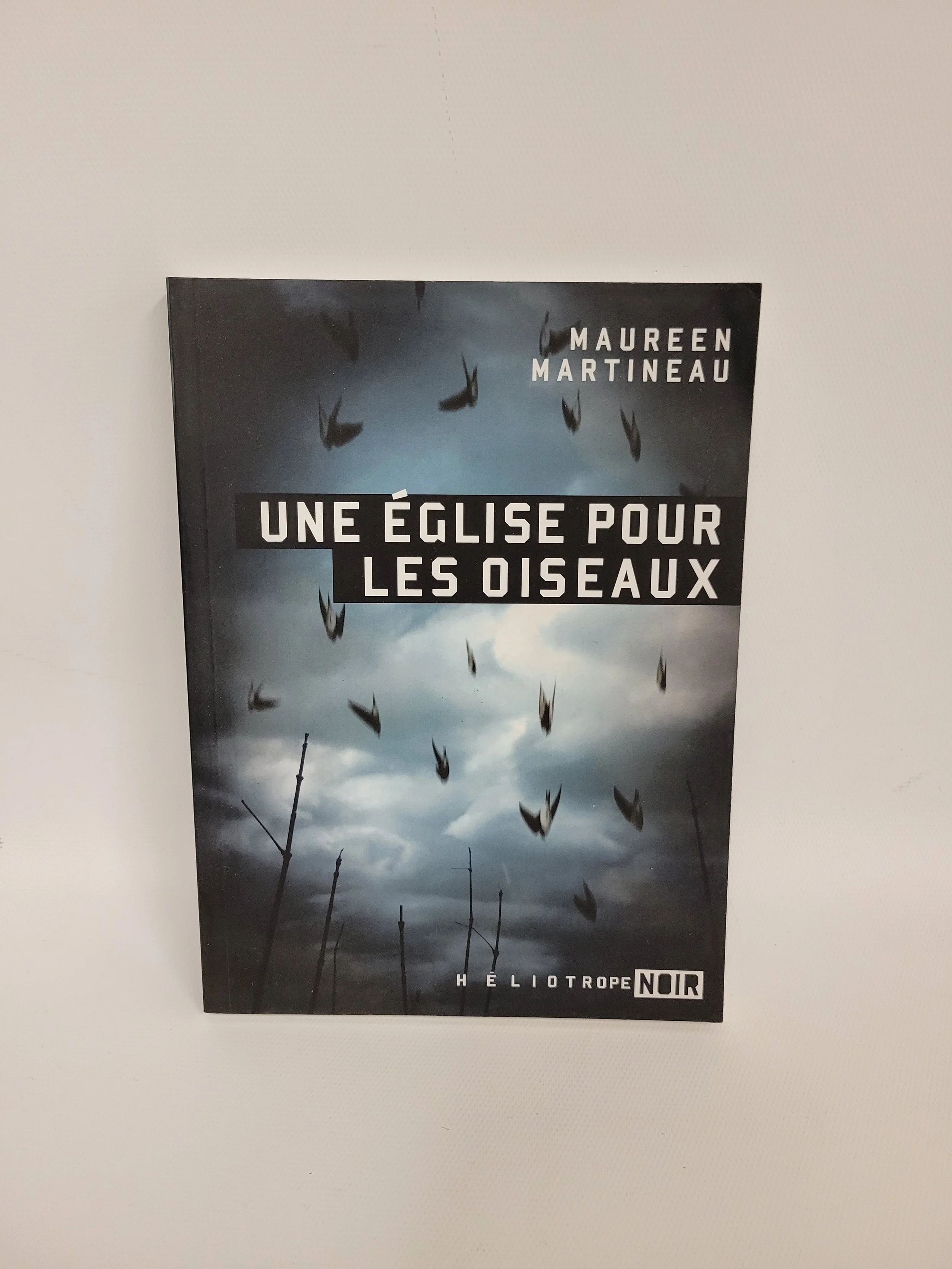 Une église pour les oiseaux - Maureen Martineau