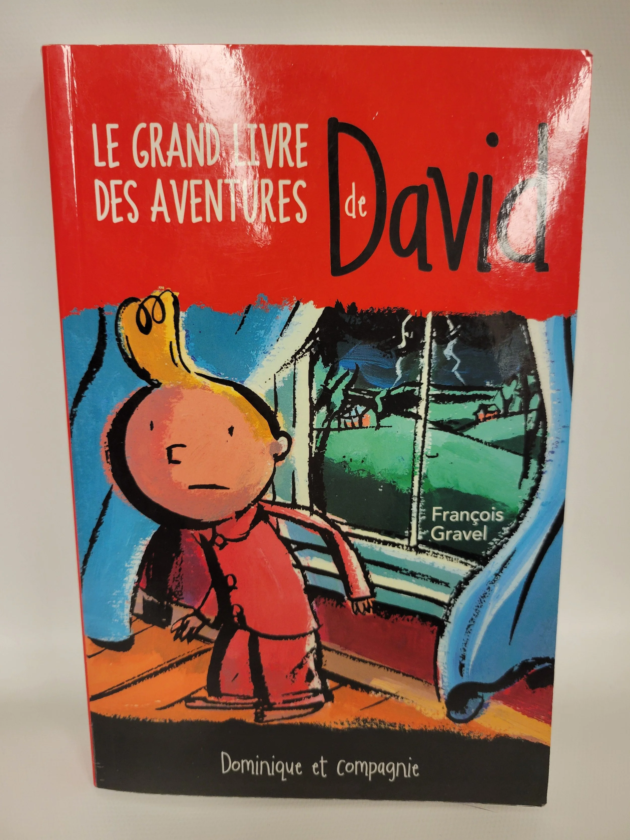 le grand livre des aventures de david, dominique et compagnie
