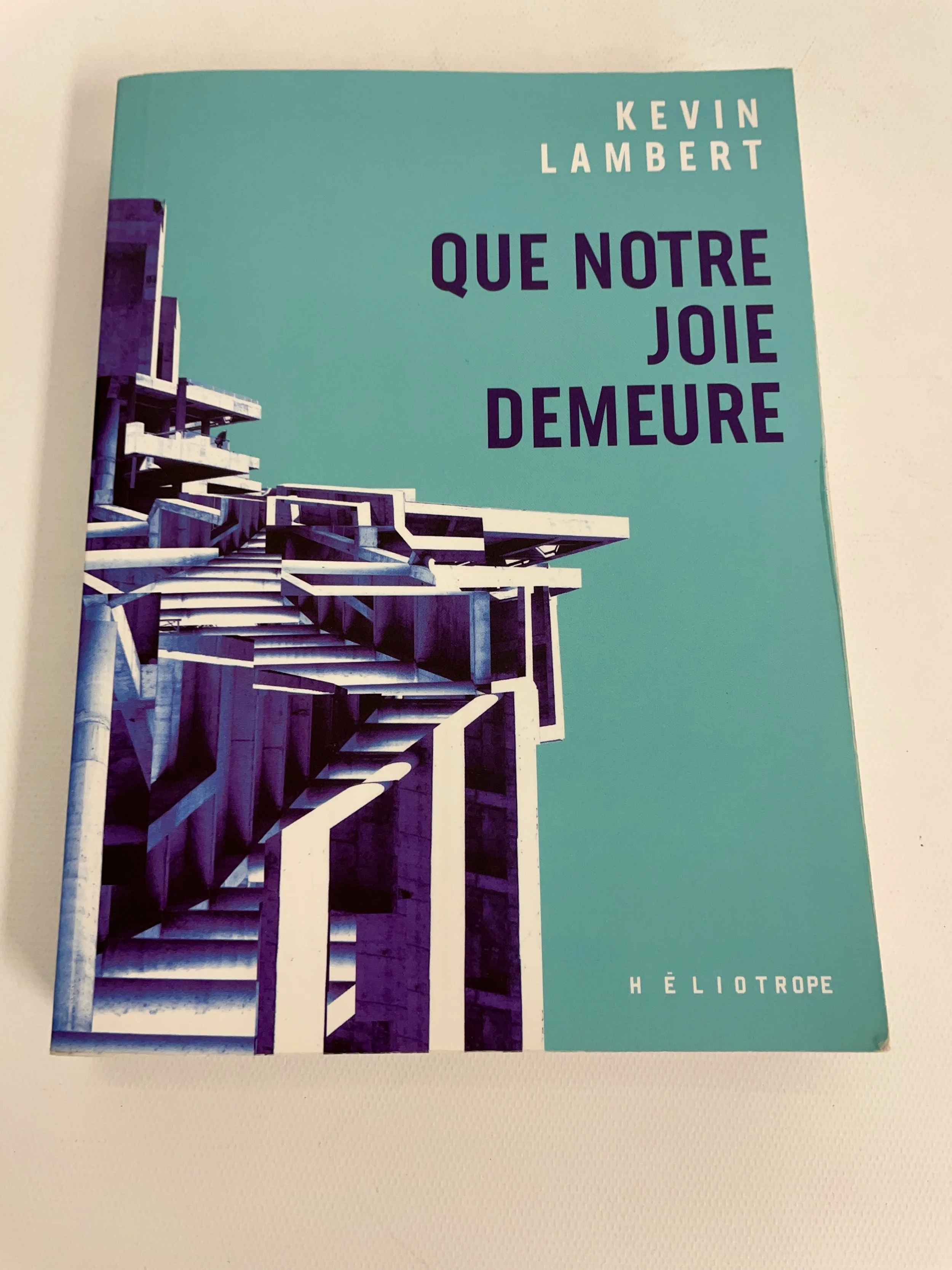 Kevin Lambert, « Que notre joie demeure », Héliotrope, 380 pages.