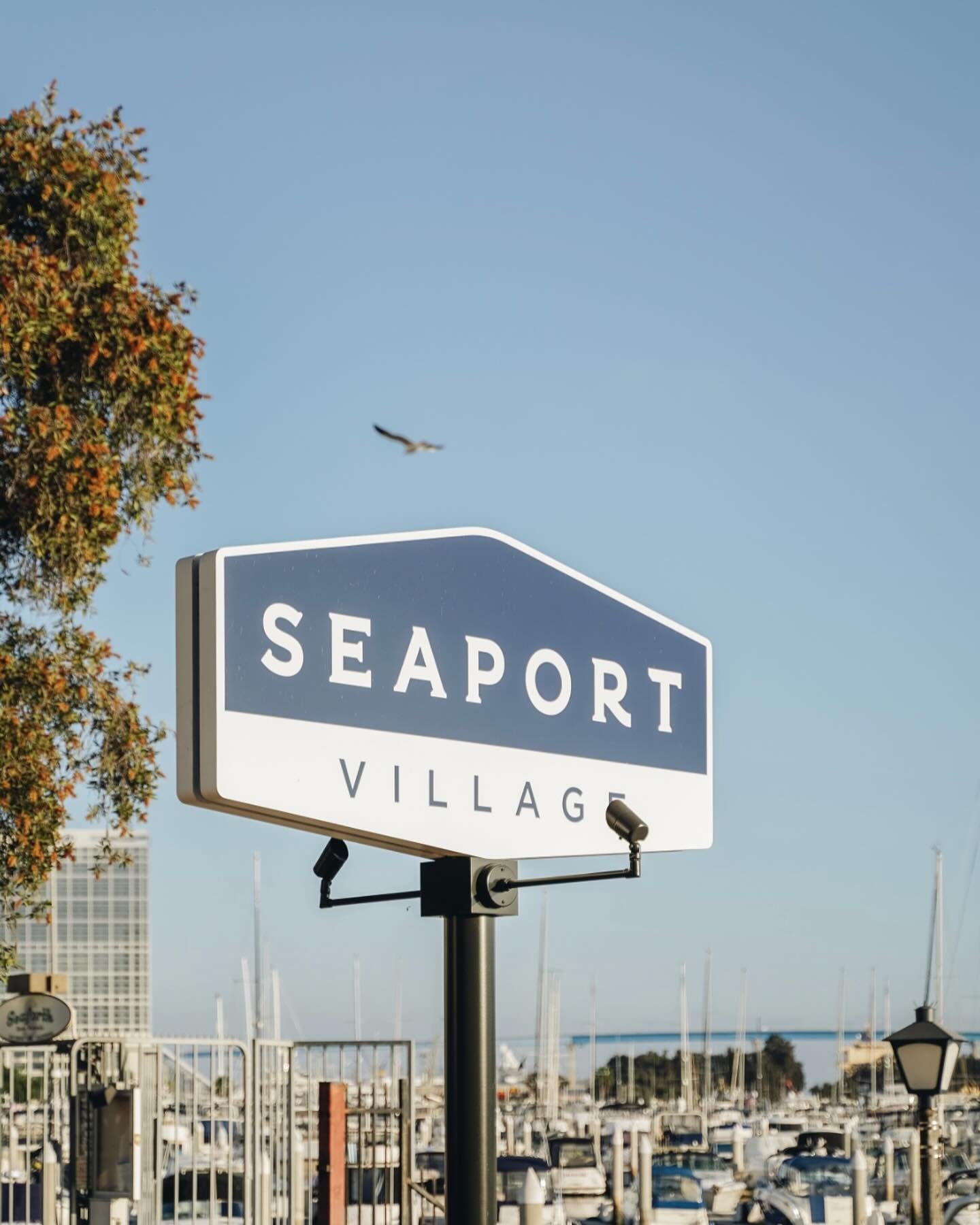 SAVE THE DATE 🌴🌞💙 ⁠
⁠
&amp; join us Saturday, June 8, from 3-7pm., as we kick off the summer with a very special Daycation Celebration at Seaport Village.⁠
⁠
Guests can enjoy...⁠
⁠
🌞Live music by local artists and a DJ dance party ⁠
🌞Woody car s