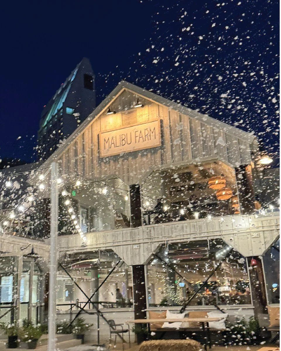 ❄️ SNOW IN SAN DIEGO? BELIEVE IT! ❄️
Who says we don't have winter in SoCal? @malibufarmsandiego is bringing the MAGIC with NIGHTLY snow flurries this December!

🕔 5:00 PM Sharp
🌊 Bayside Winter Wonderland
❄️ Free Snow Experience

No jacket require