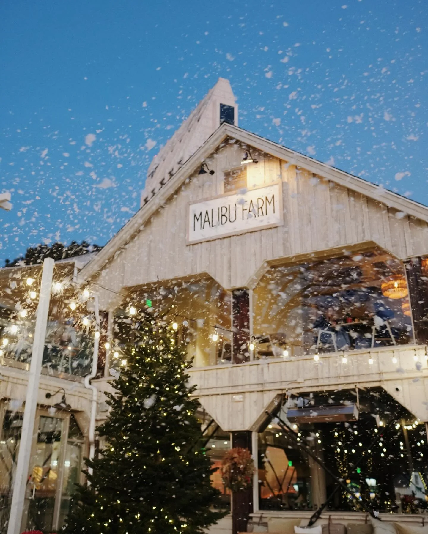❄️✨ Let It Snow at Malibu Farm ✨❄️

Catch the winter magic bayside at Malibu Farm as snow flurries fall every night at 5 PM all December long!

Yes snow in San Diego!
Take in the waterfront views, and enjoy eco-friendly &ldquo;snow&rdquo; drifting th