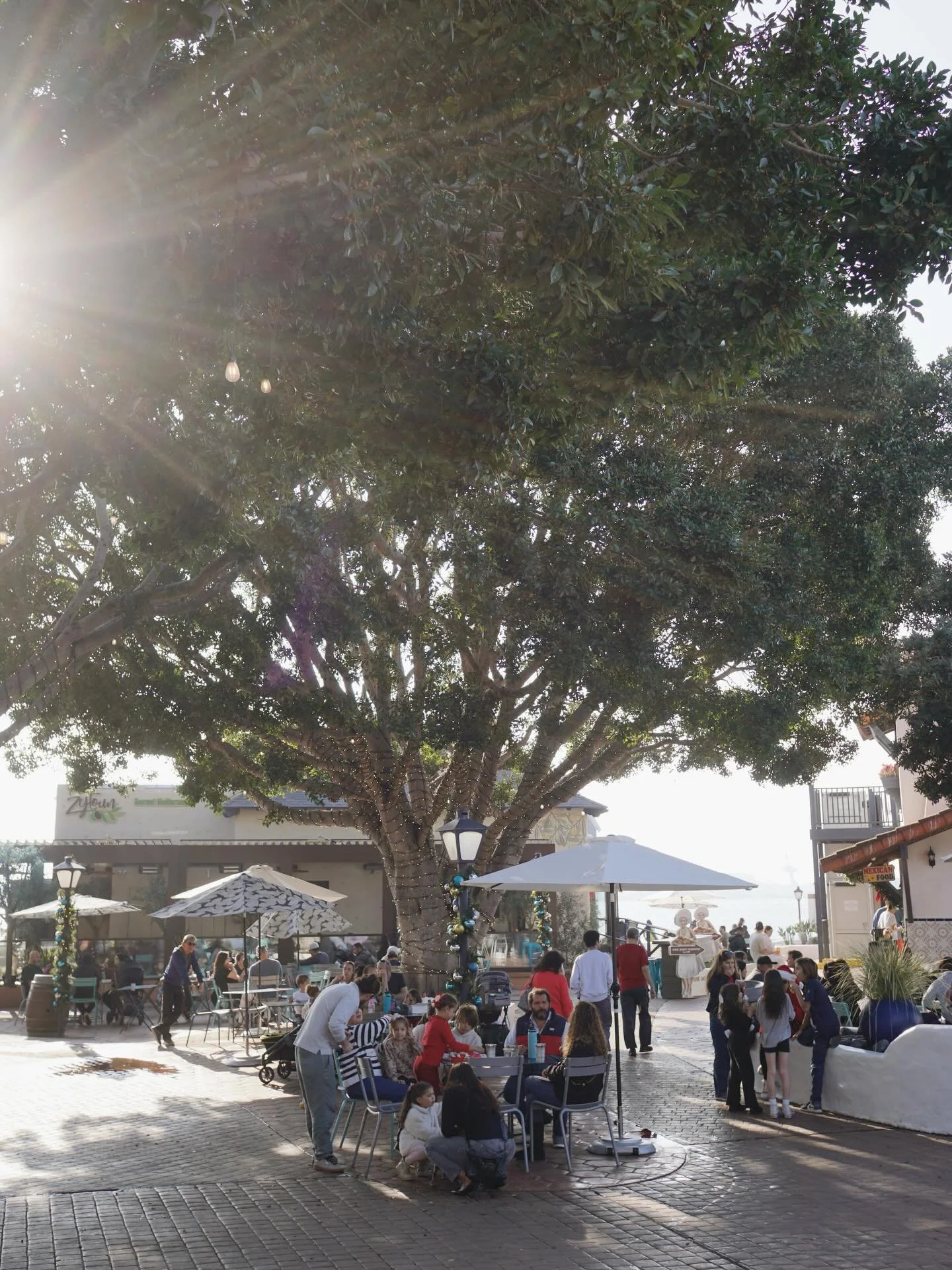 🎄✨ Holiday Magic at Seaport Village ✨🎄
The season is in full swing by the bay, and we&rsquo;re celebrating with festive events for the whole family &mdash; from meals with Santa to one of San Diego&rsquo;s most beloved traditions.

🎅 Lunch with Sa