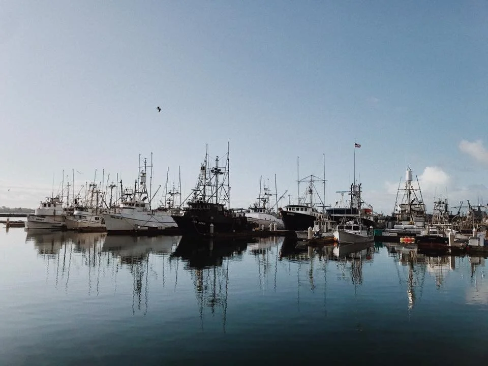Tuna Harbor Dockside Market