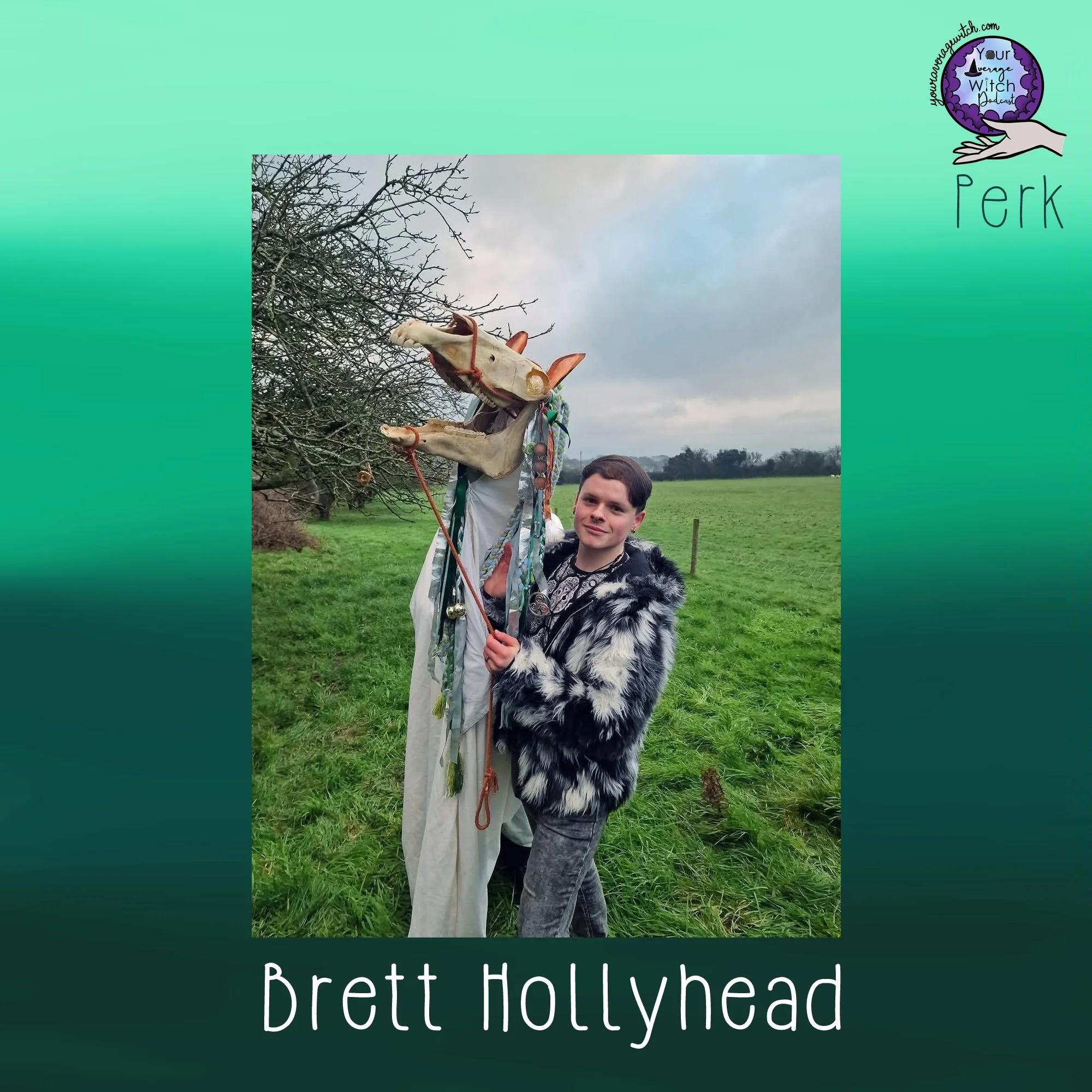 Brett Hollyhead Perk