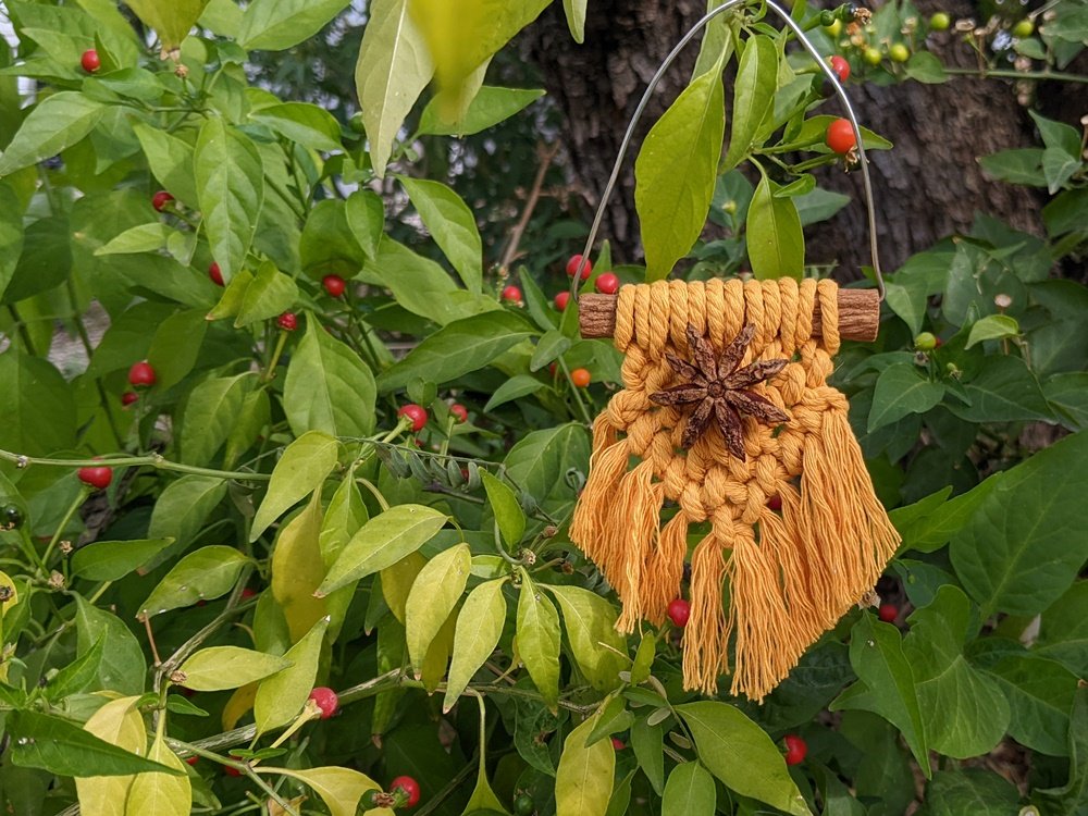 December 2022 Yule Knot Magic