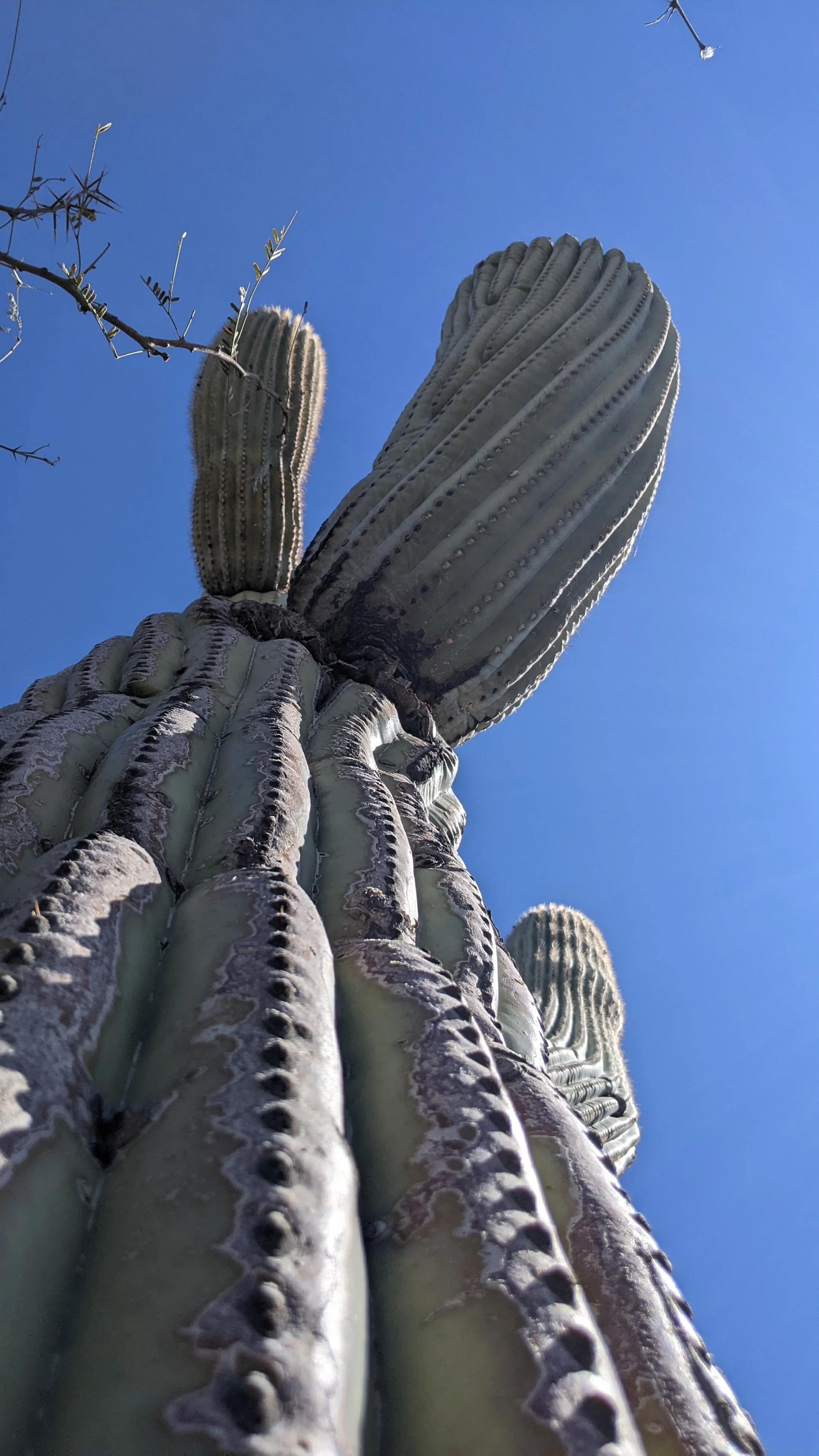 March 2021 Protection