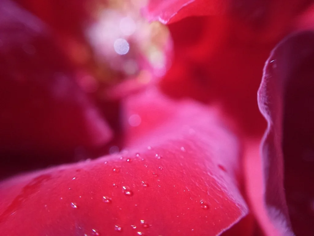 February 2021 Self Love