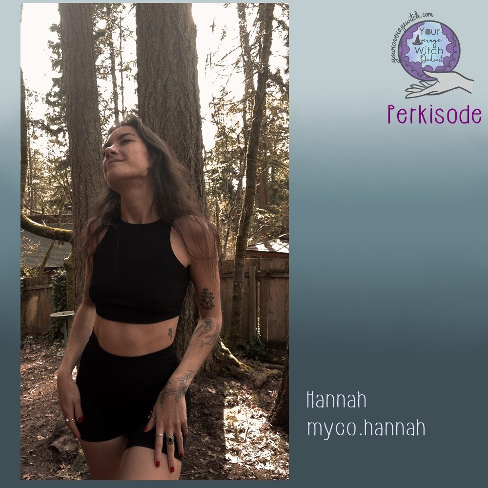 3 Hannah Joslin Perkisode