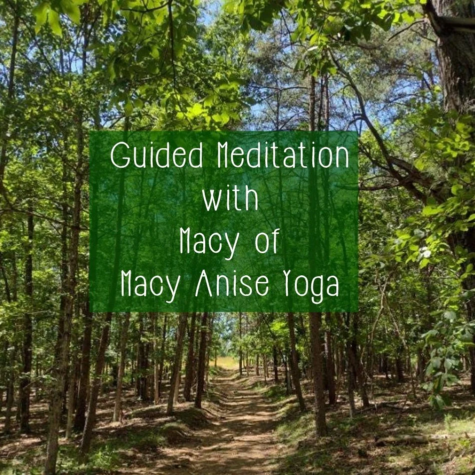 Macys Mountain Meadow Meditation