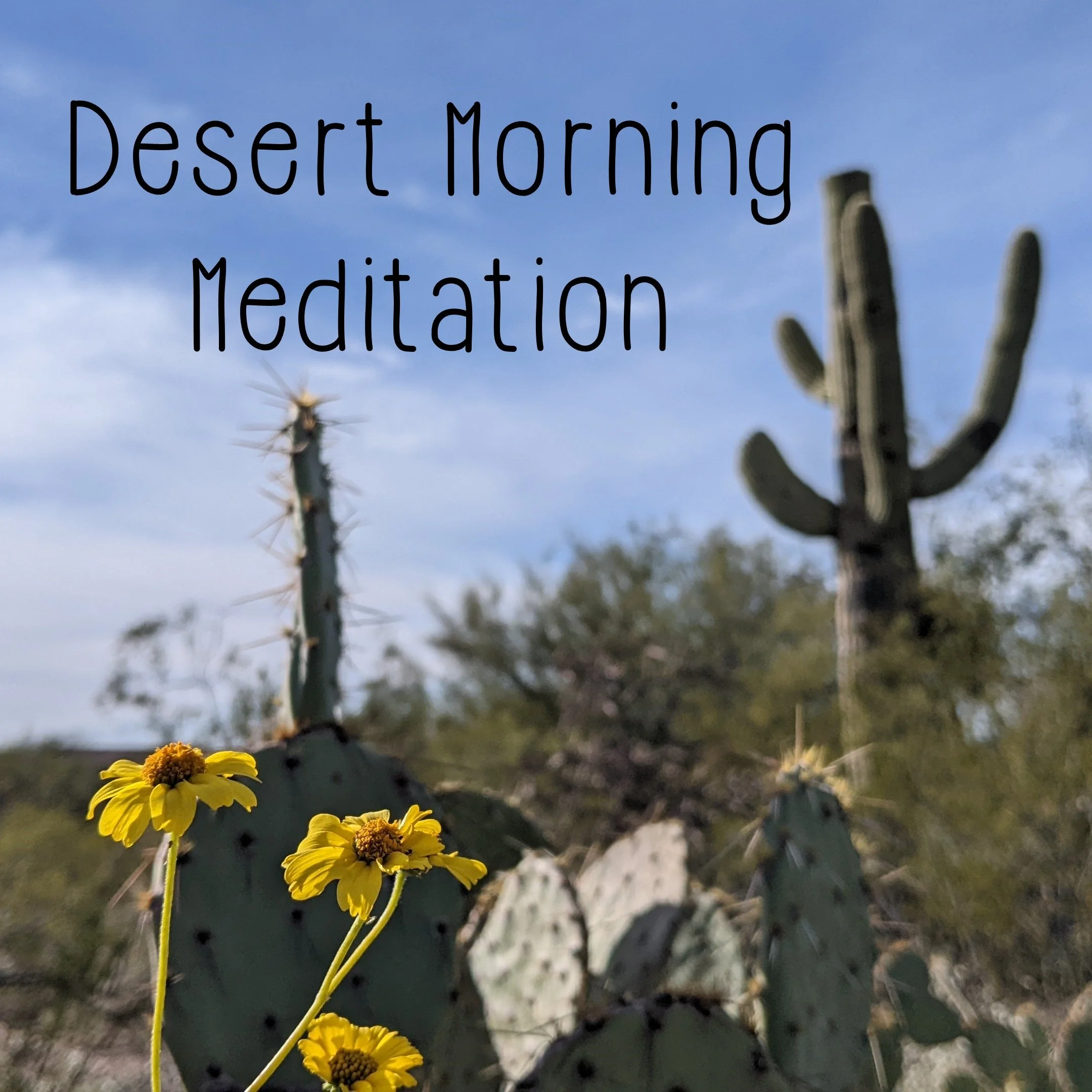Desert Morning Meditation