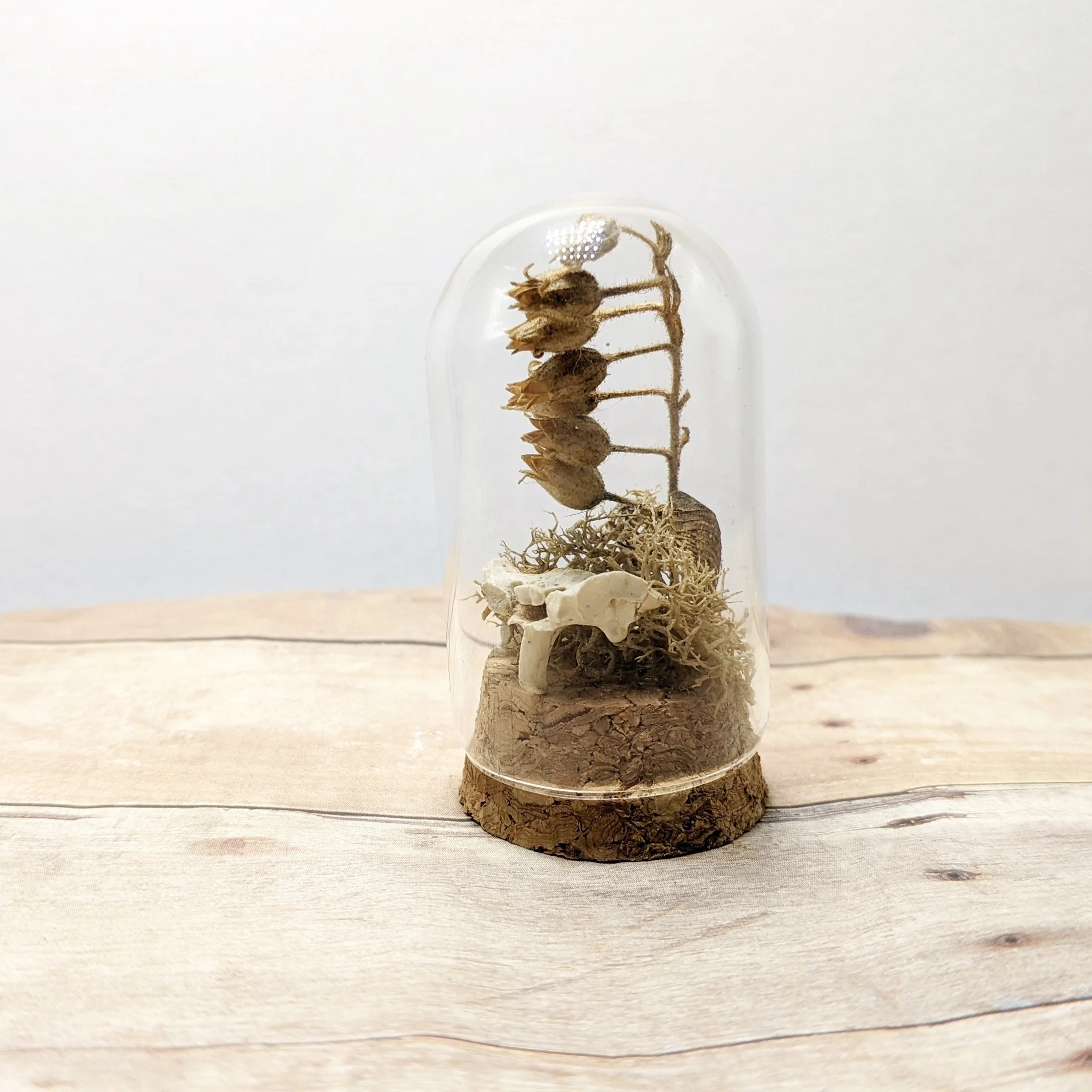 November 2023 Fae Friends