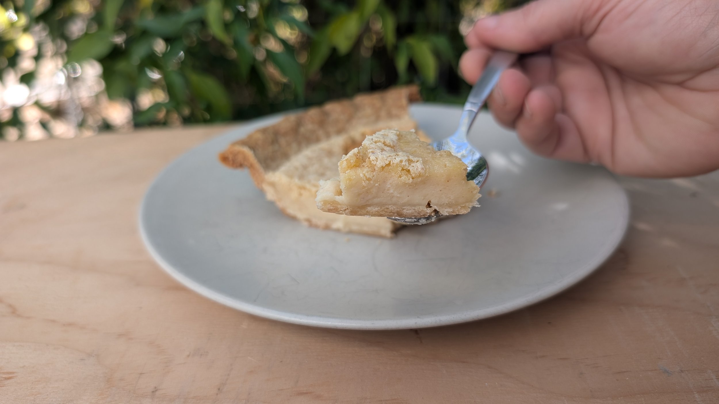 January 2025 Sugar Cream Pie