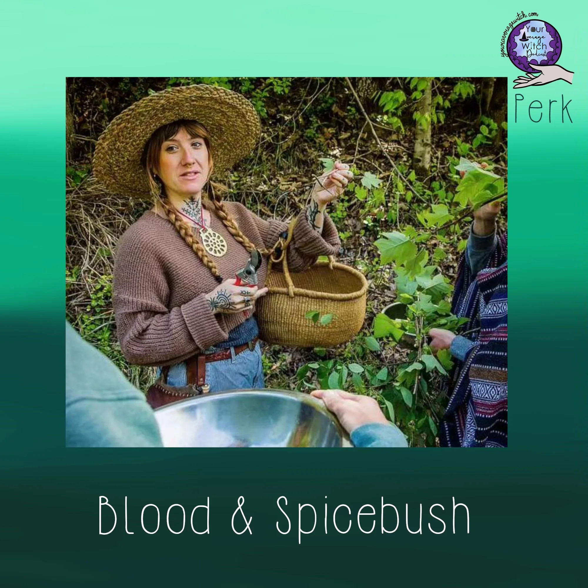 Blood and Spicebush Perk