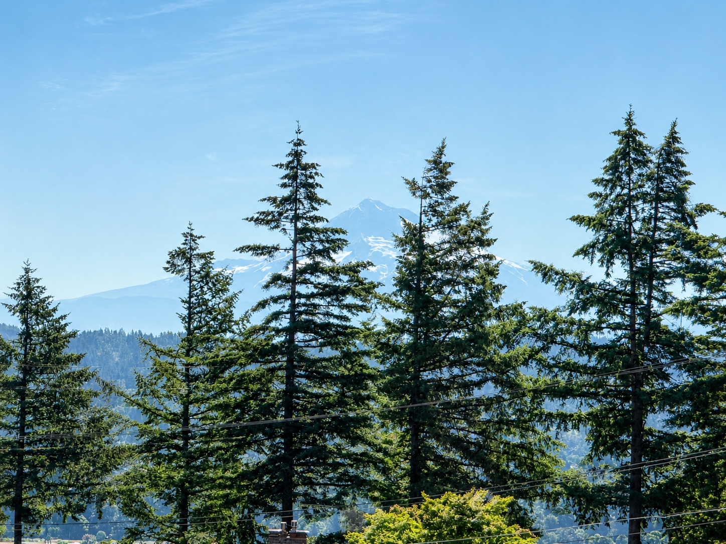 New construction luxury home in West Linn, Oregon, crafted by The Portlock Company — the Portland area’s trusted local home builder. 
