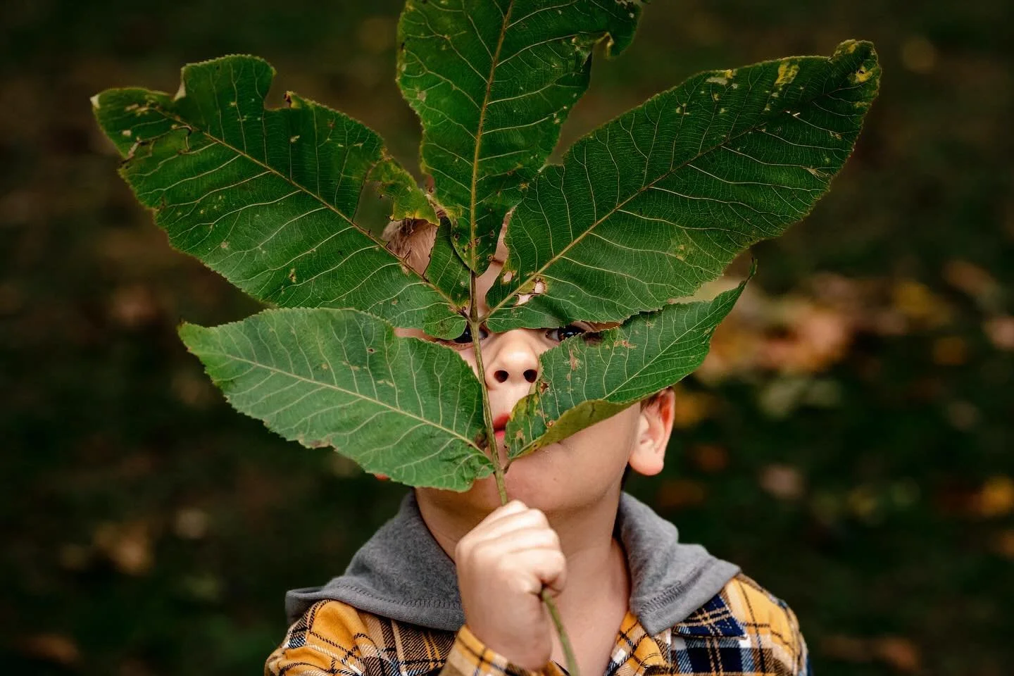 What a goofer. Love this fam and this kid!