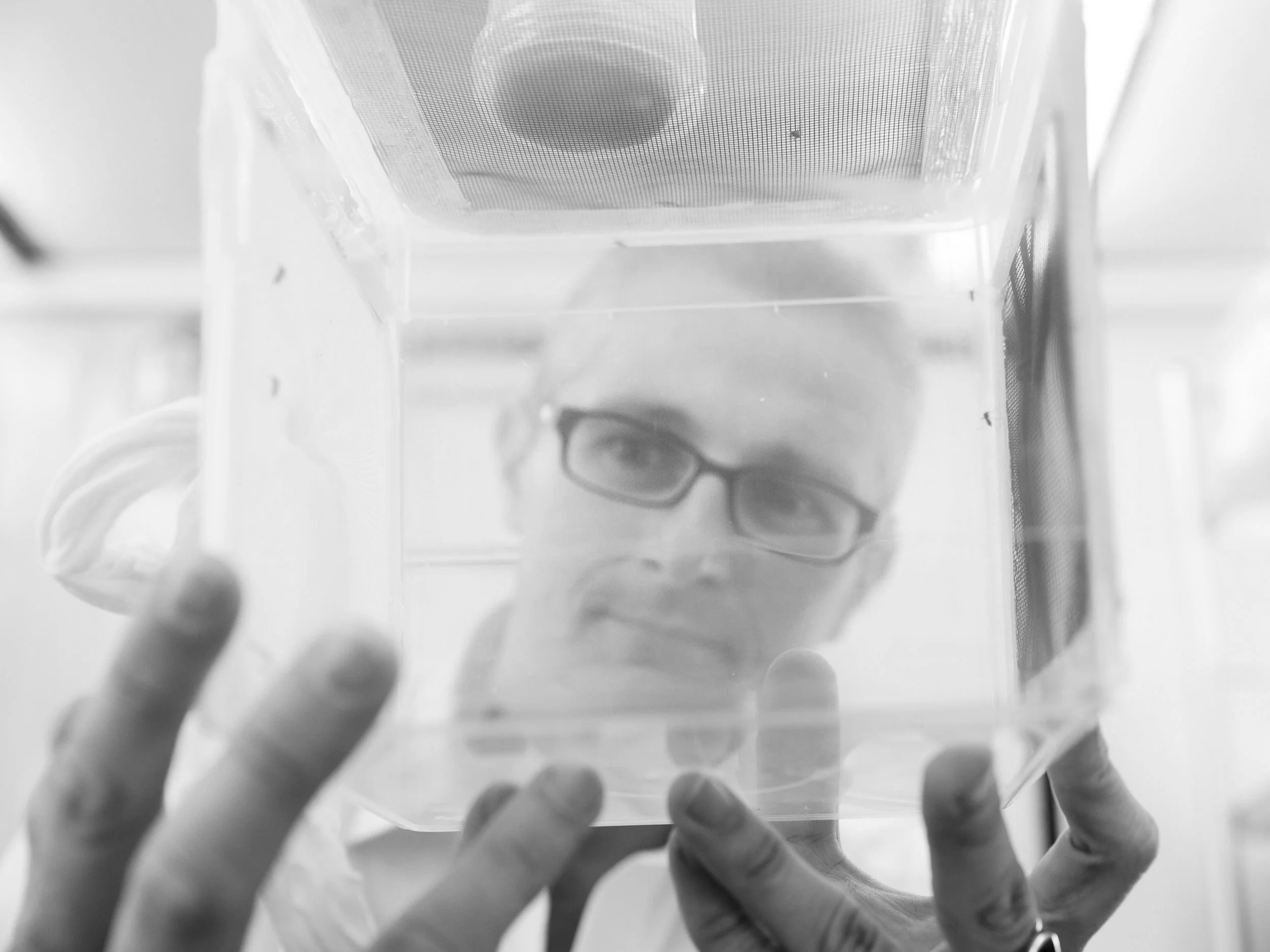 Prof. Dr. Marc F. Schetelig im Forschungslabor der Universität Gießen schaut durch ein Gefäss: Wissenschafts Fotografie von Angelika Zinzow