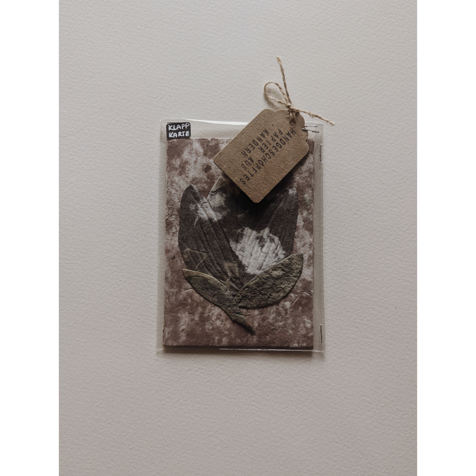 Photoroom-20251209_131532339.png