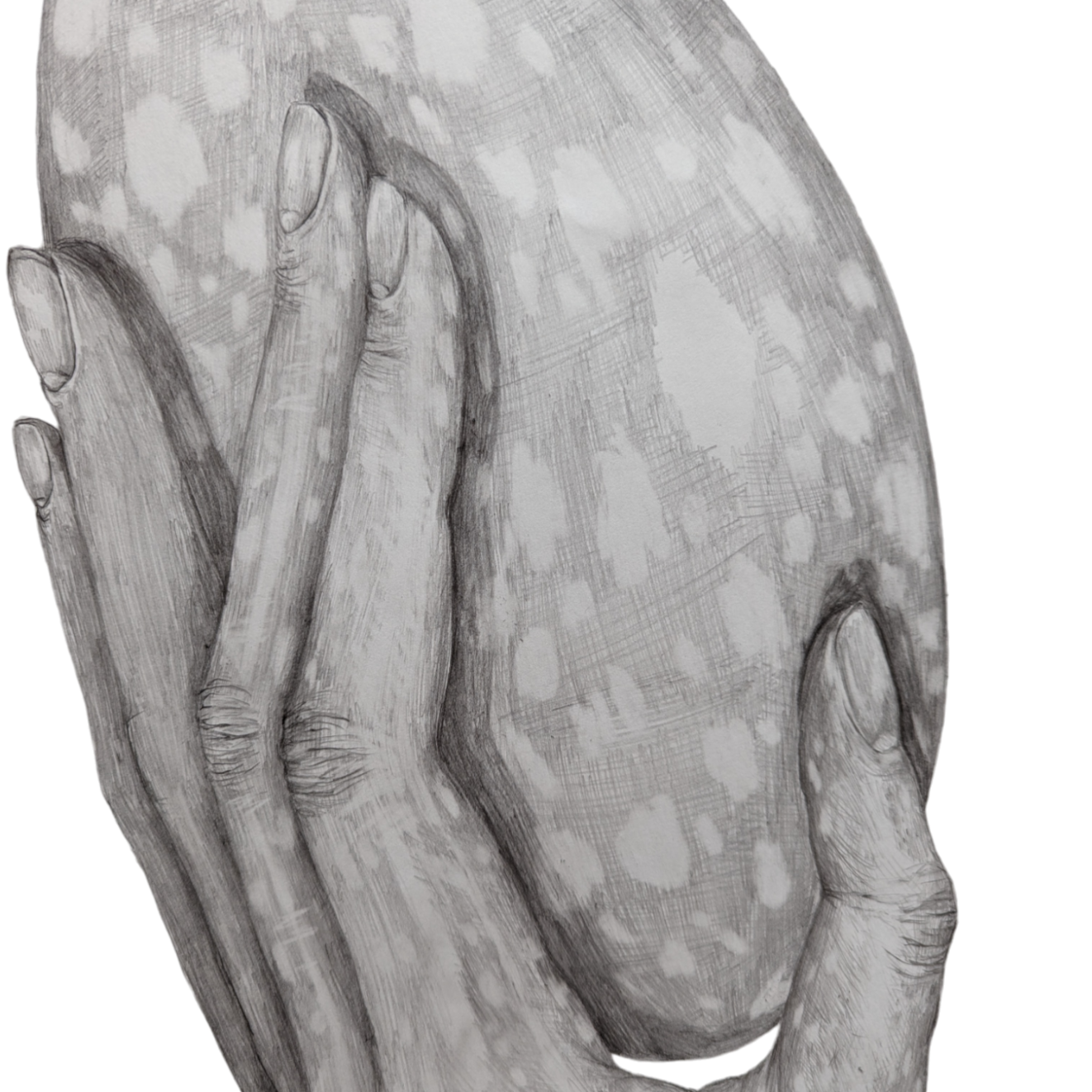 Photoroom-20240520_114216dd.png