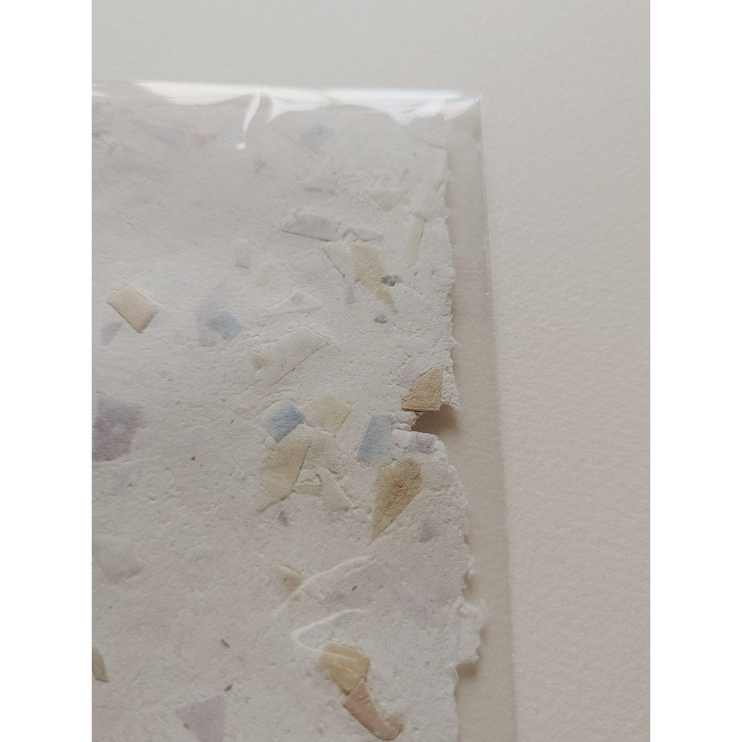 Photoroom-20251209_131532339 (8).png