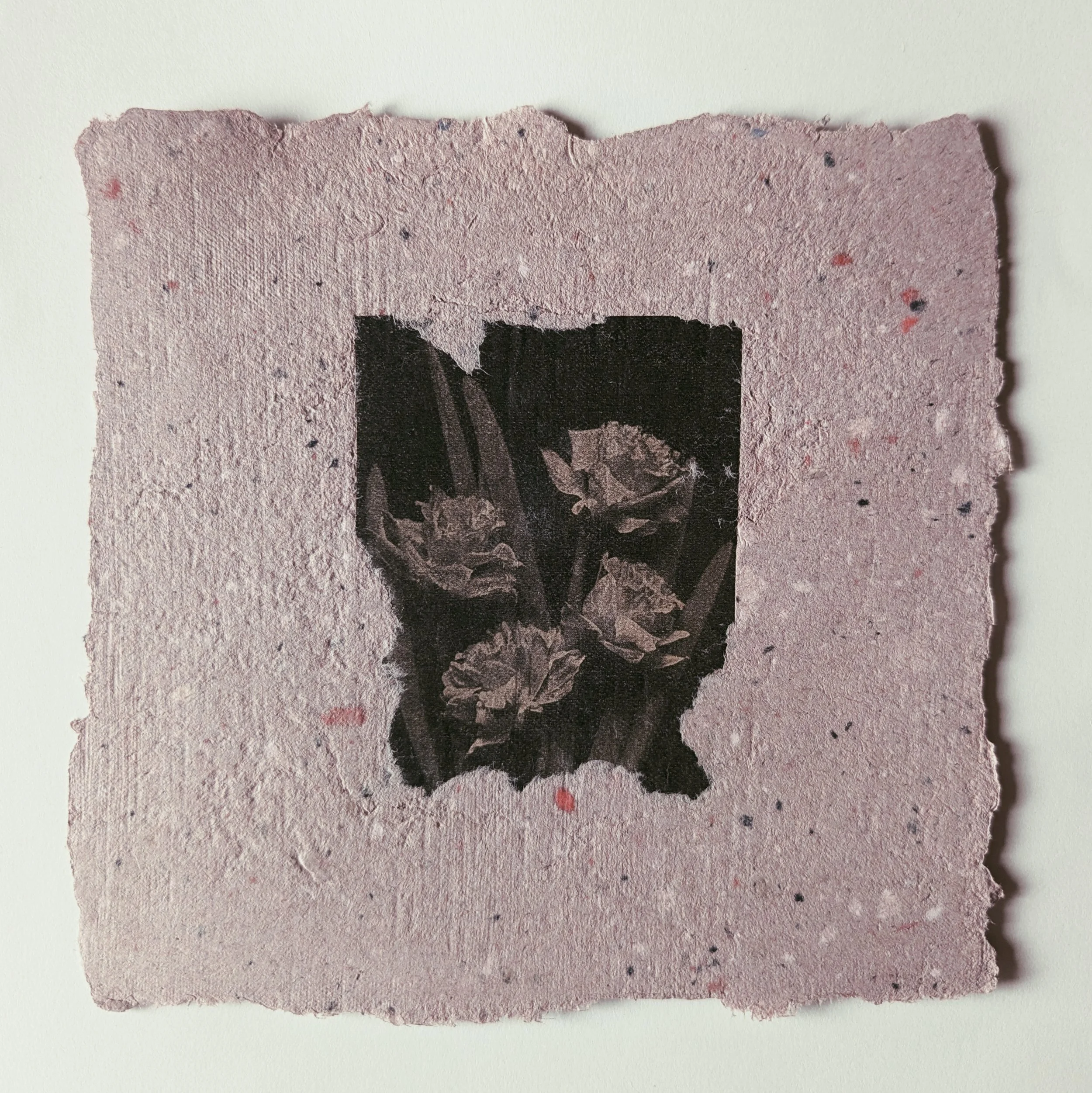 Schwarz-weiß Druck eines Blumenbildes auf einem unregelmäßig gezackten, light pinken Papier