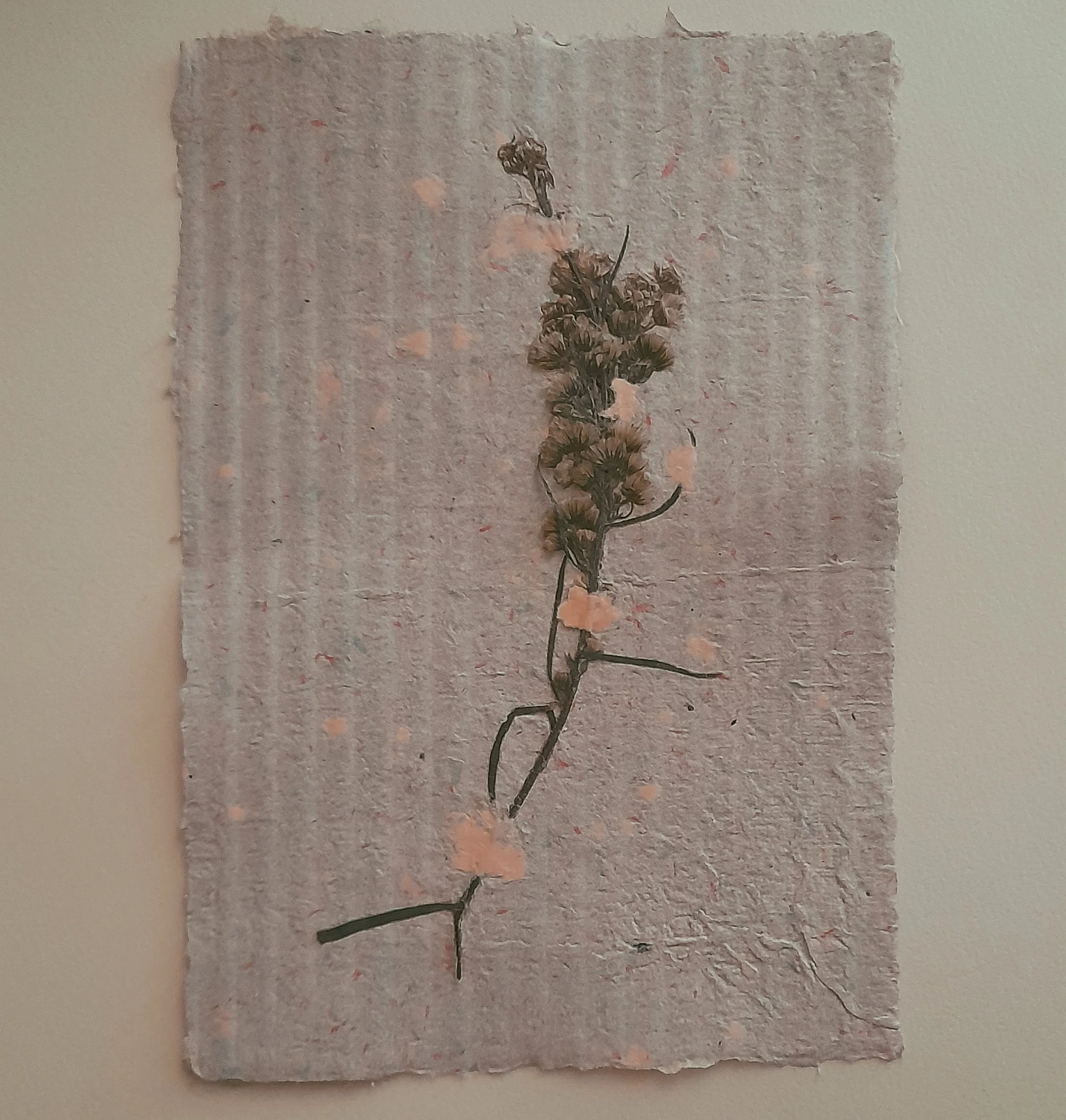 Trockene Blumen auf einem welligen, rosa-beigen Papierstück