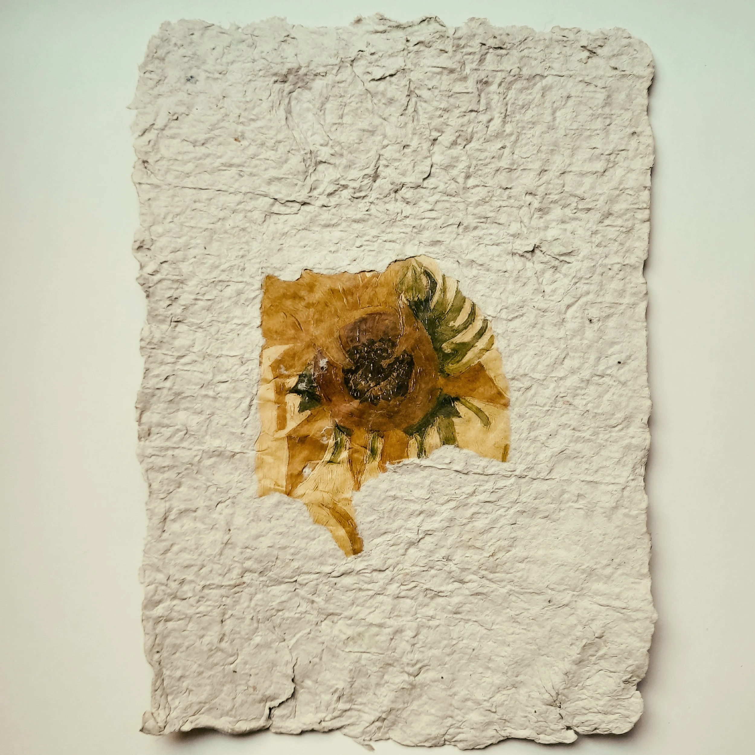 Verblasste Blume auf grob strukturiertem Papier