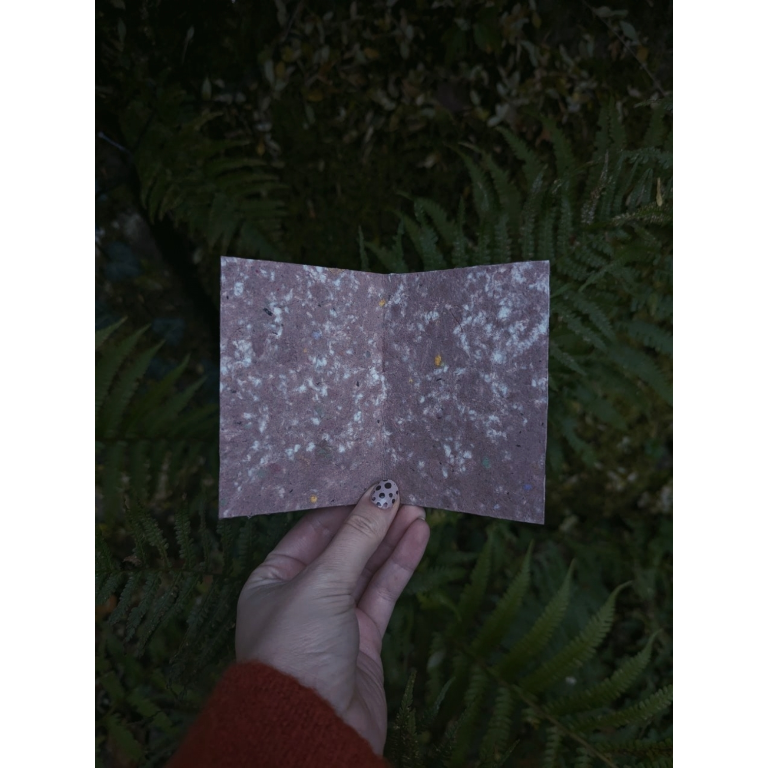 Photoroom-20251209_131532339 (2).png