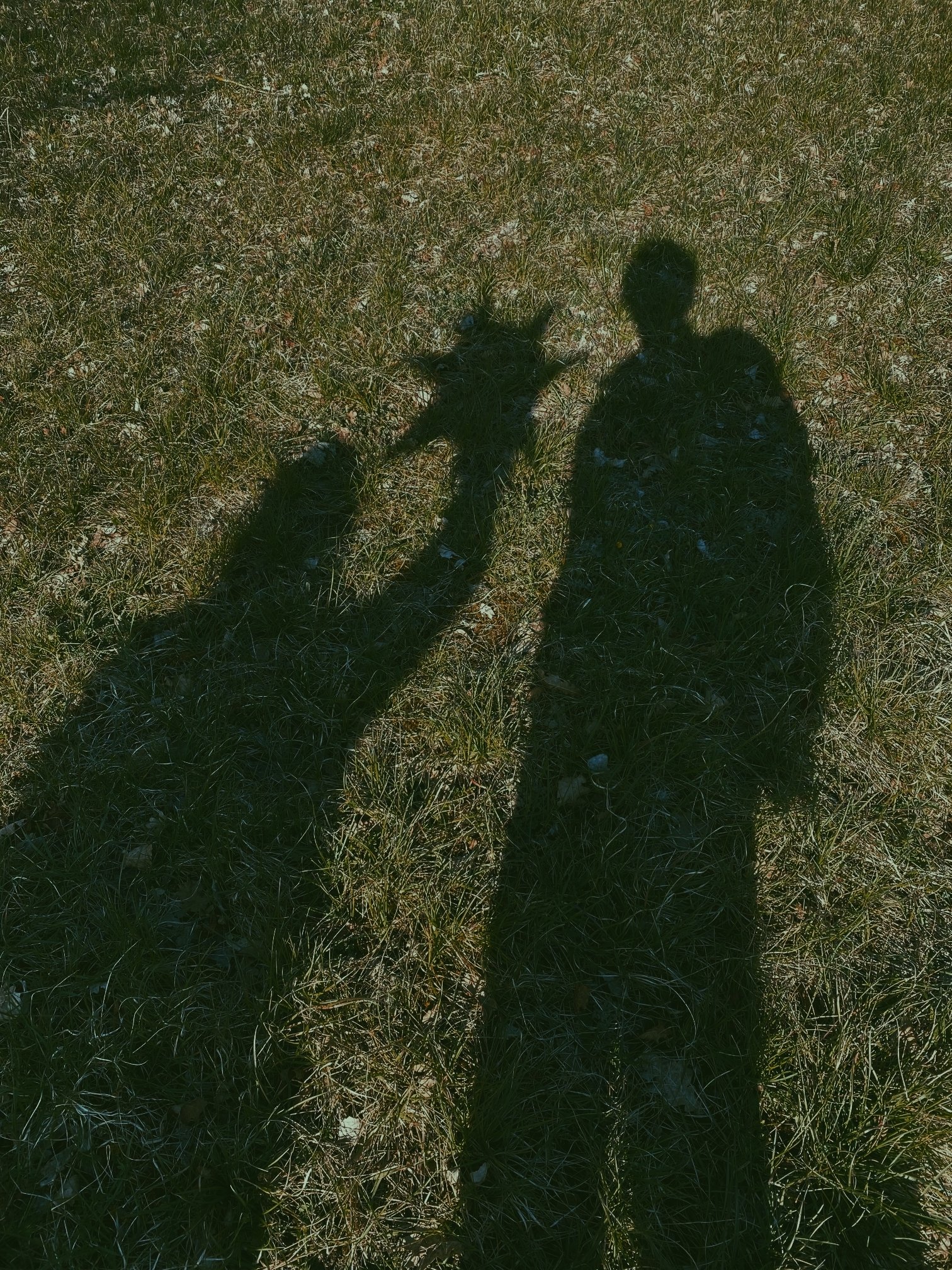 1000094180.jpg